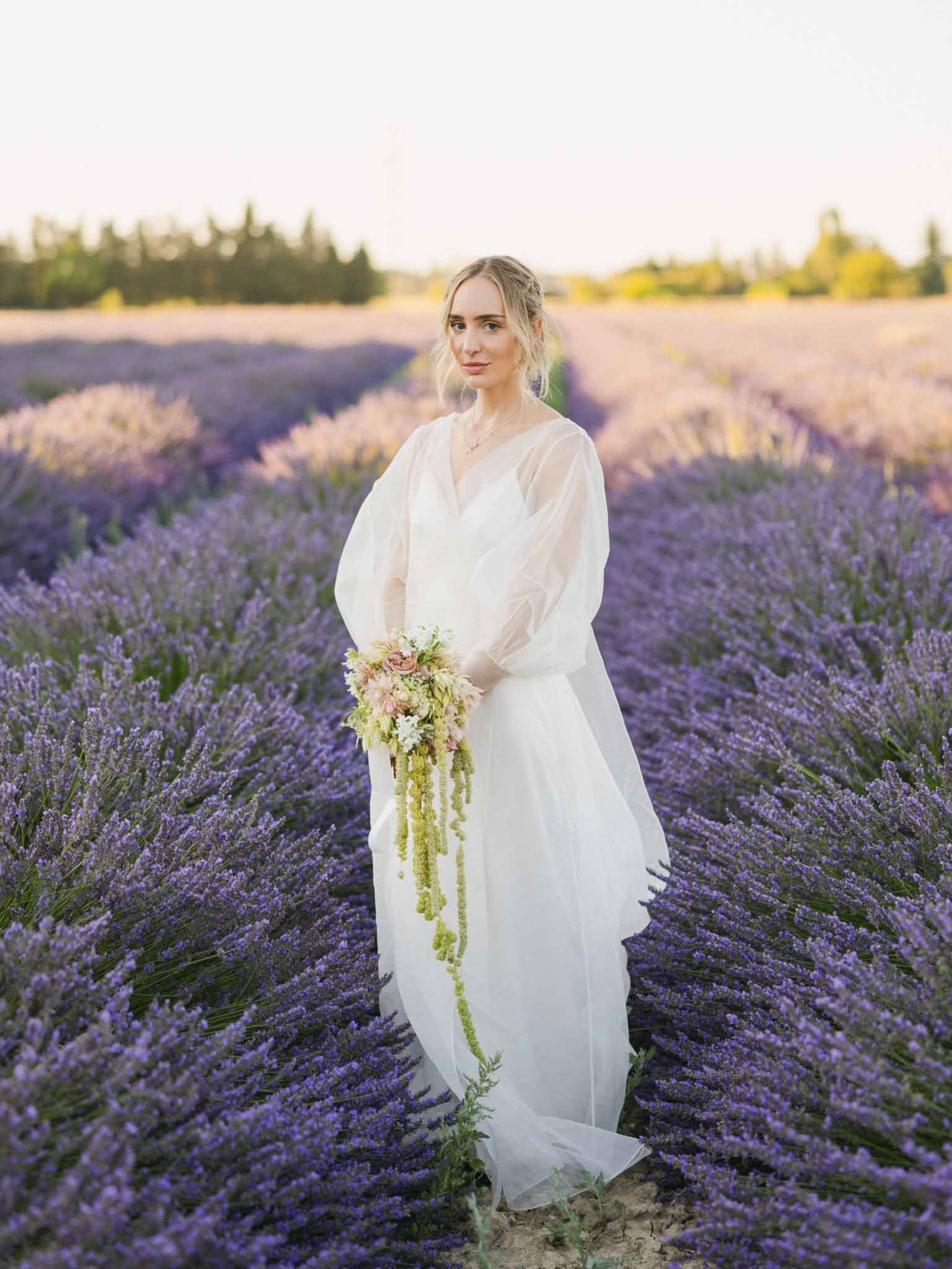 Bride alone in lavender field in flowing ivory wrap dress holding cascading blush and cream bouquet, golden hour light