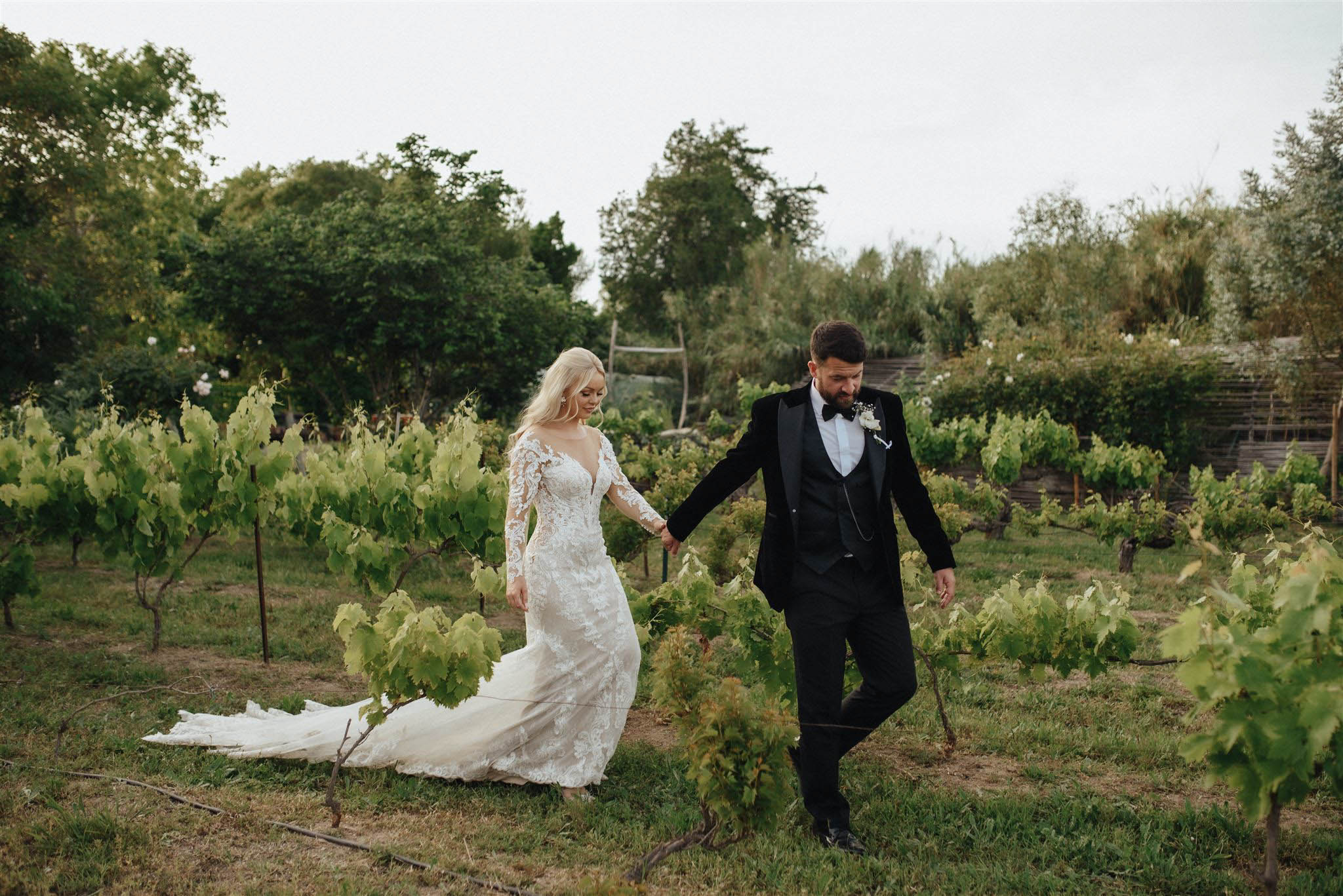 Bride in fitted lace gown and groom in black tuxedo walking hand-in-hand between vineyard rows