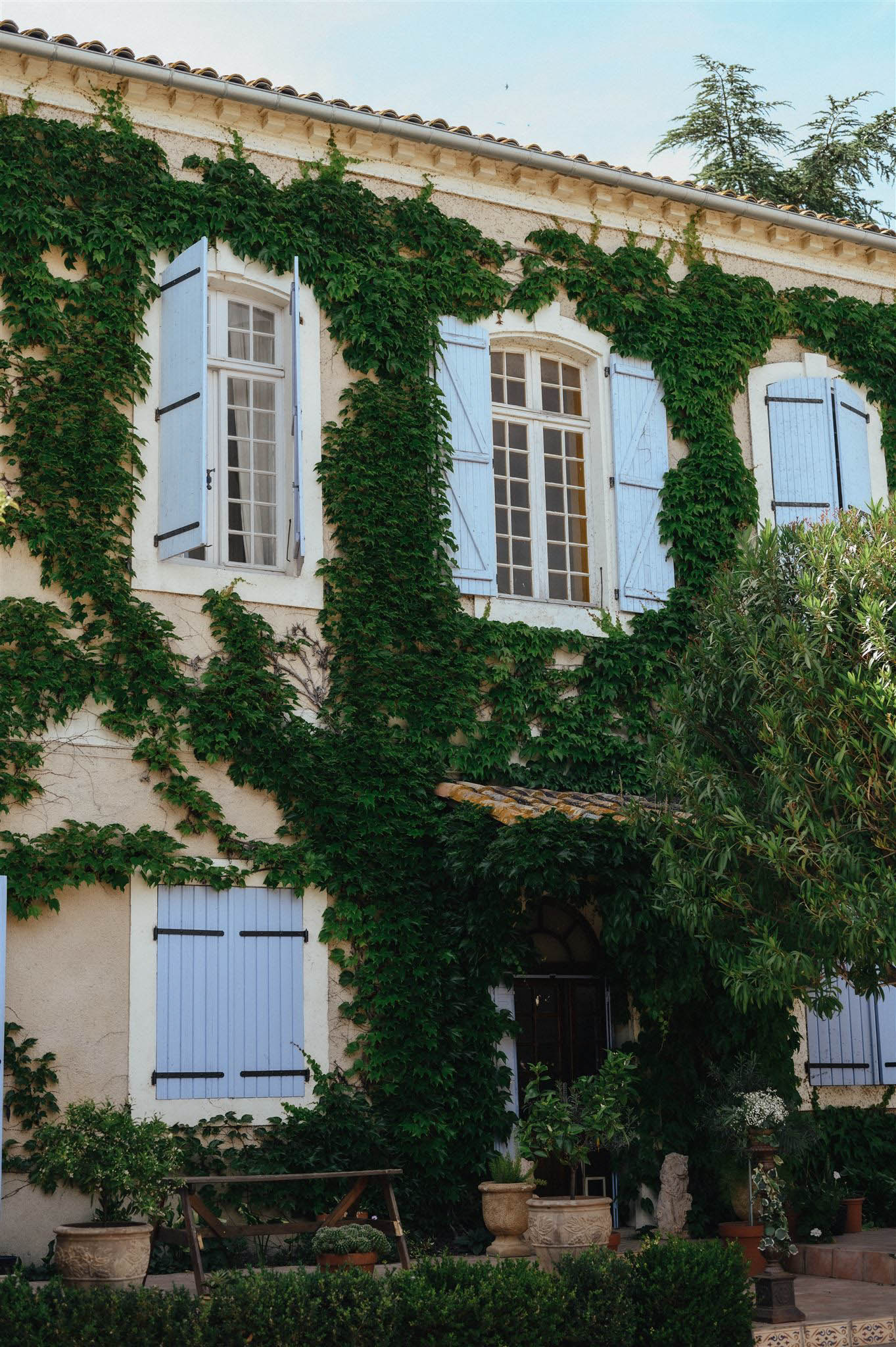 Provencal bastide facade with cream render, climbing ivy, pale blue shutters, and stone urns at ground level