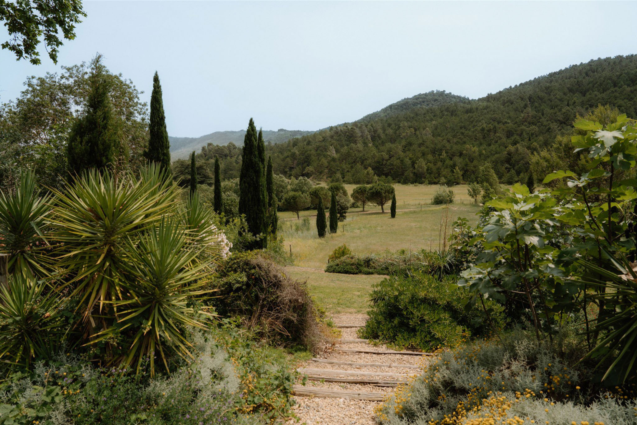Garden pathway leading through Mediterranean plantings toward a meadow lined with cypress trees and forested hills