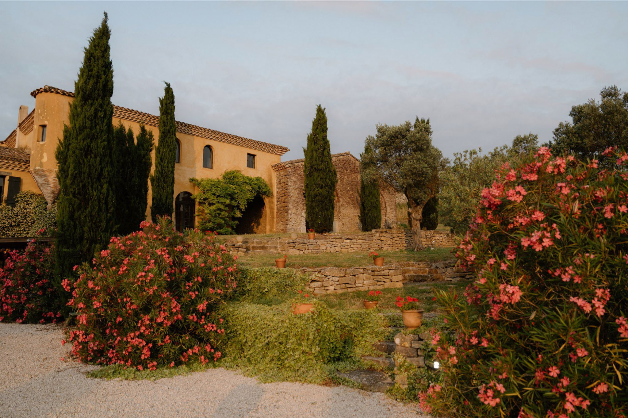 Provencal mas with ochre walls, terracotta roof, cypress trees, olive tree, and terraced garden with gravel paths