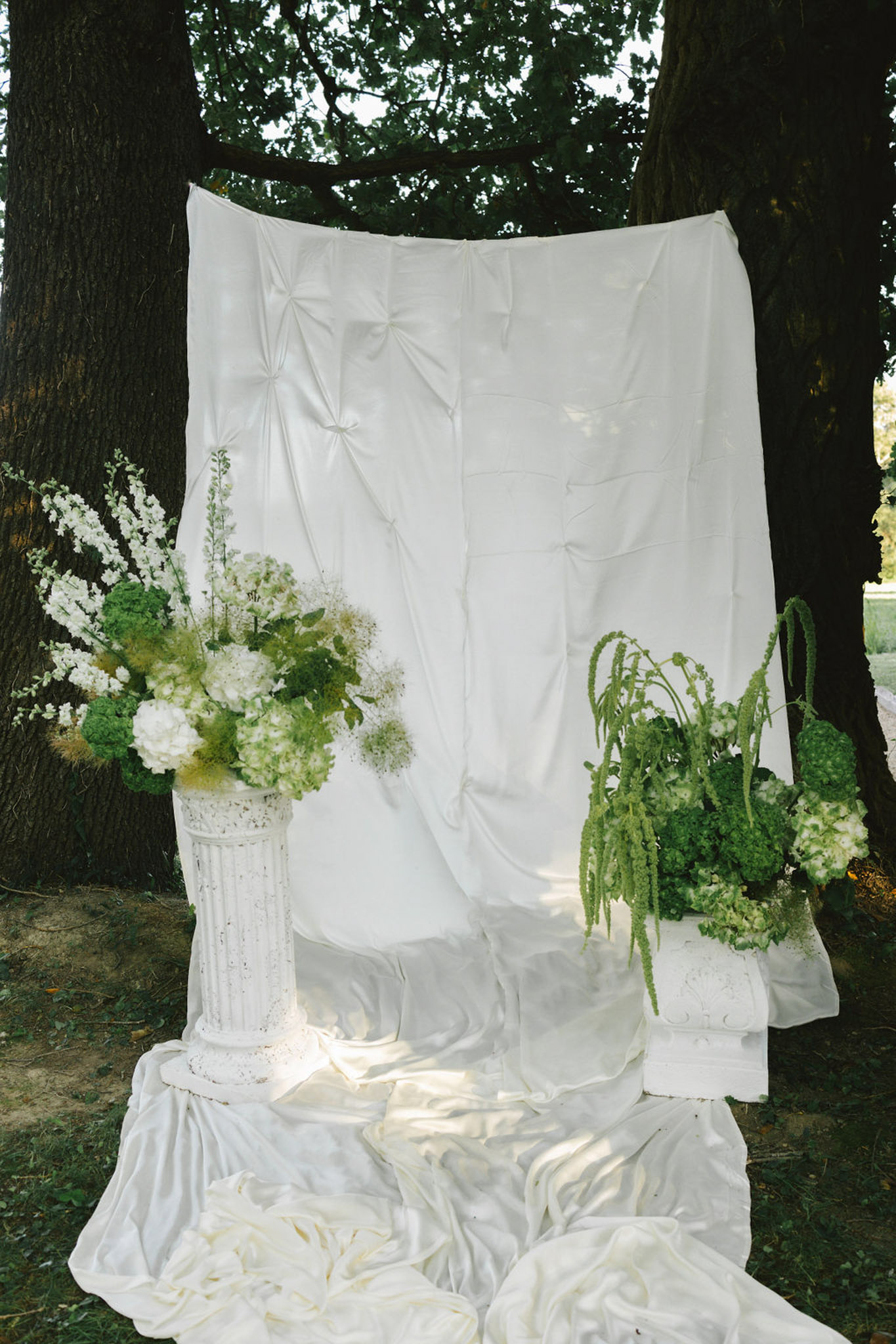 Outdoor ceremony backdrop with ivory draped fabric between trees and white hydrangea arrangements in ceramic vessels