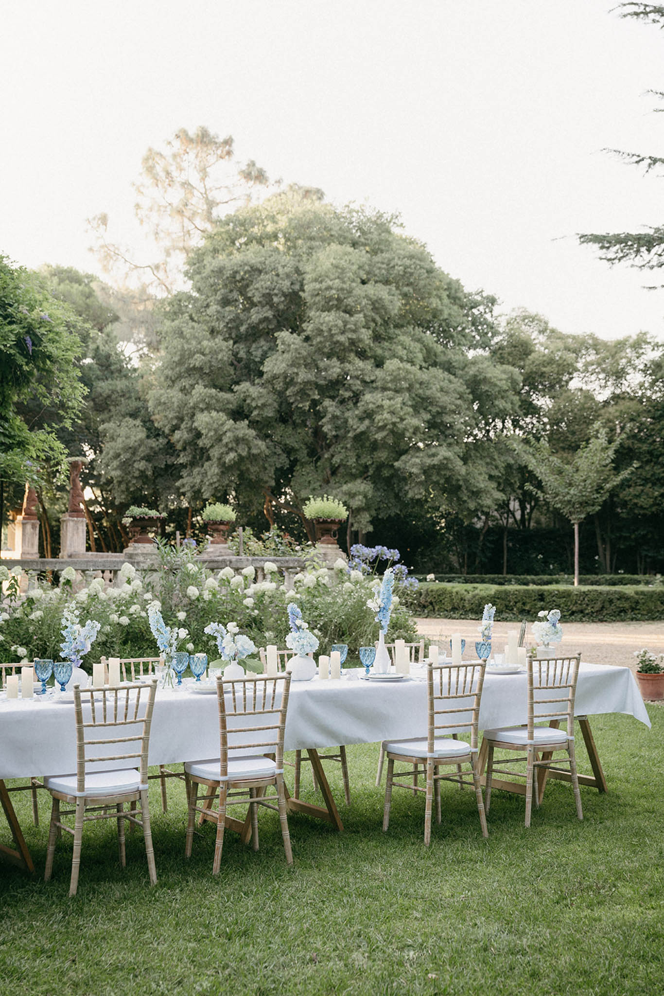 Outdoor reception with long tables on manicured lawn, white and blue hydrangea centerpieces and cypress trees