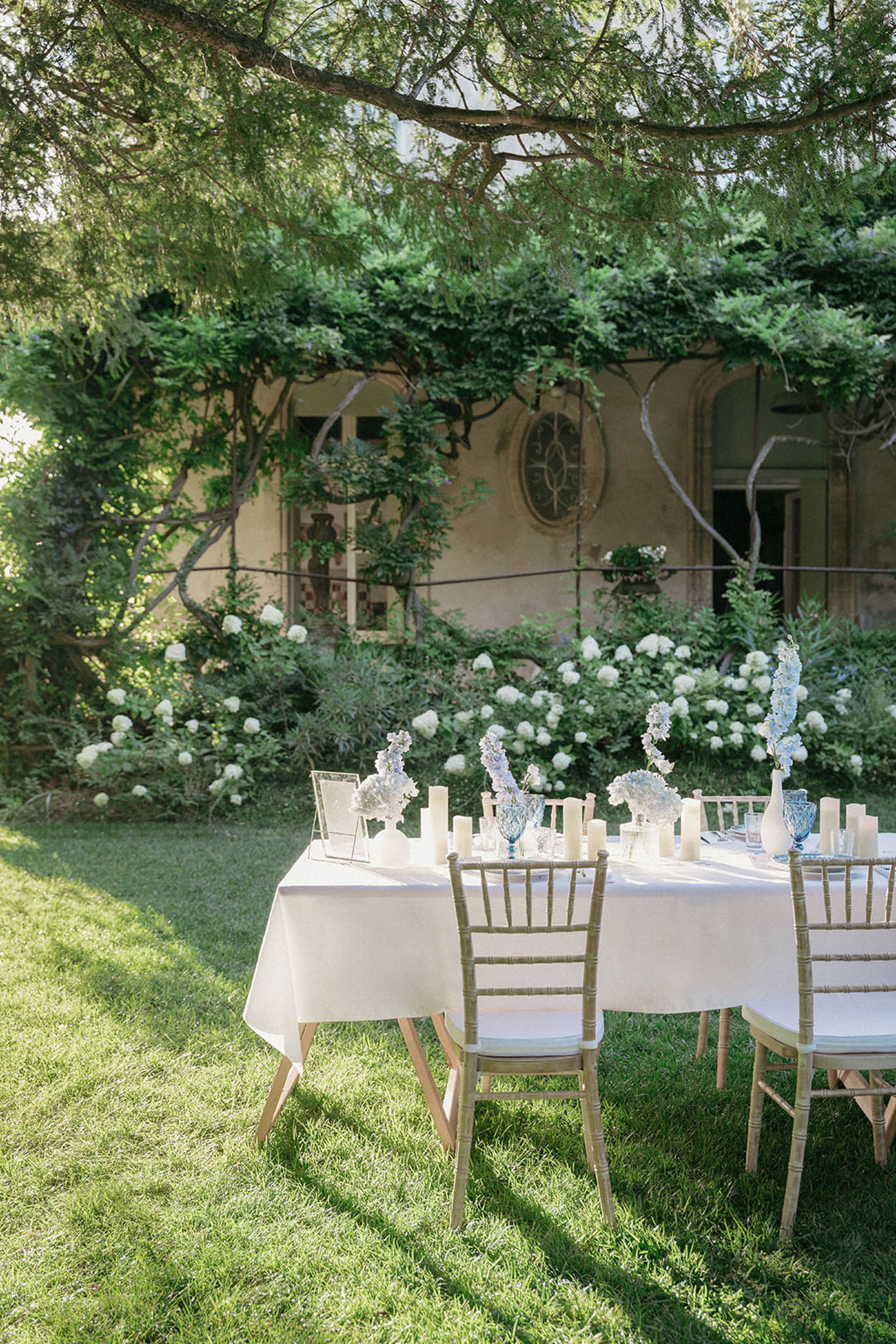 Outdoor reception tables beneath weeping willow with blue-and-white ceramic vases and white hydrangea arrangements