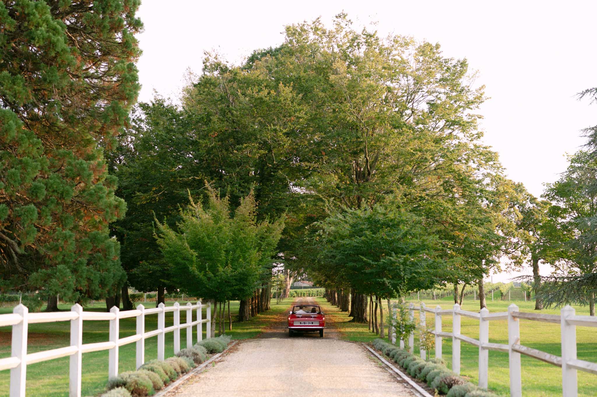 Vintage red Citroen driving down tree-lined gravel driveway with white fencing and vineyard views at French wine estate