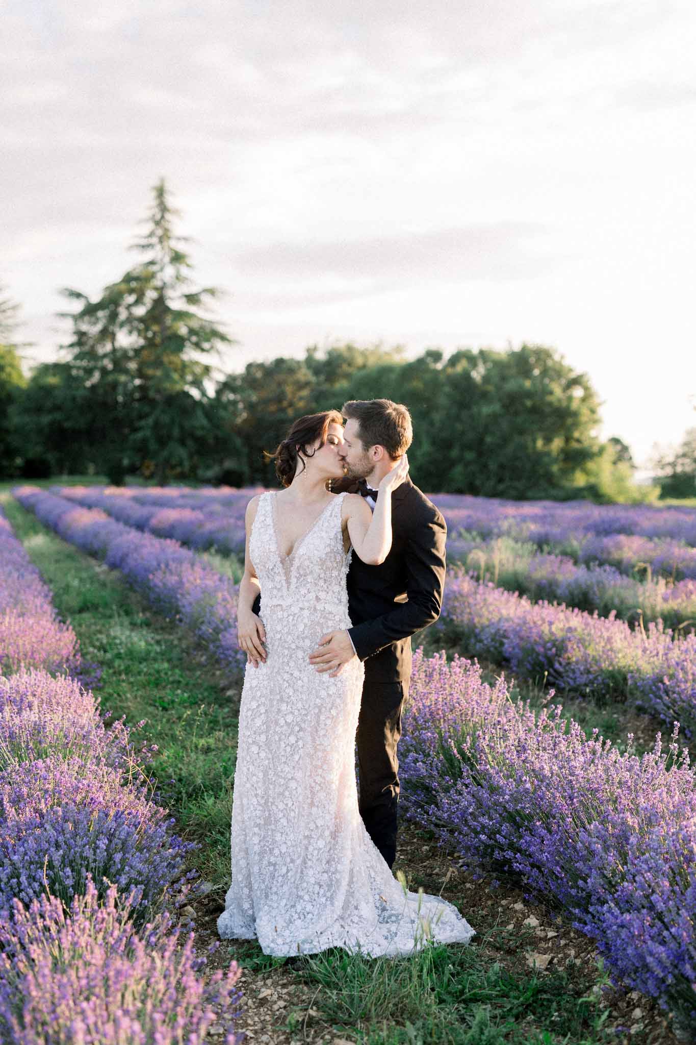 Bride and groom kissing between rows of blooming lavender with evergreen trees on the horizon