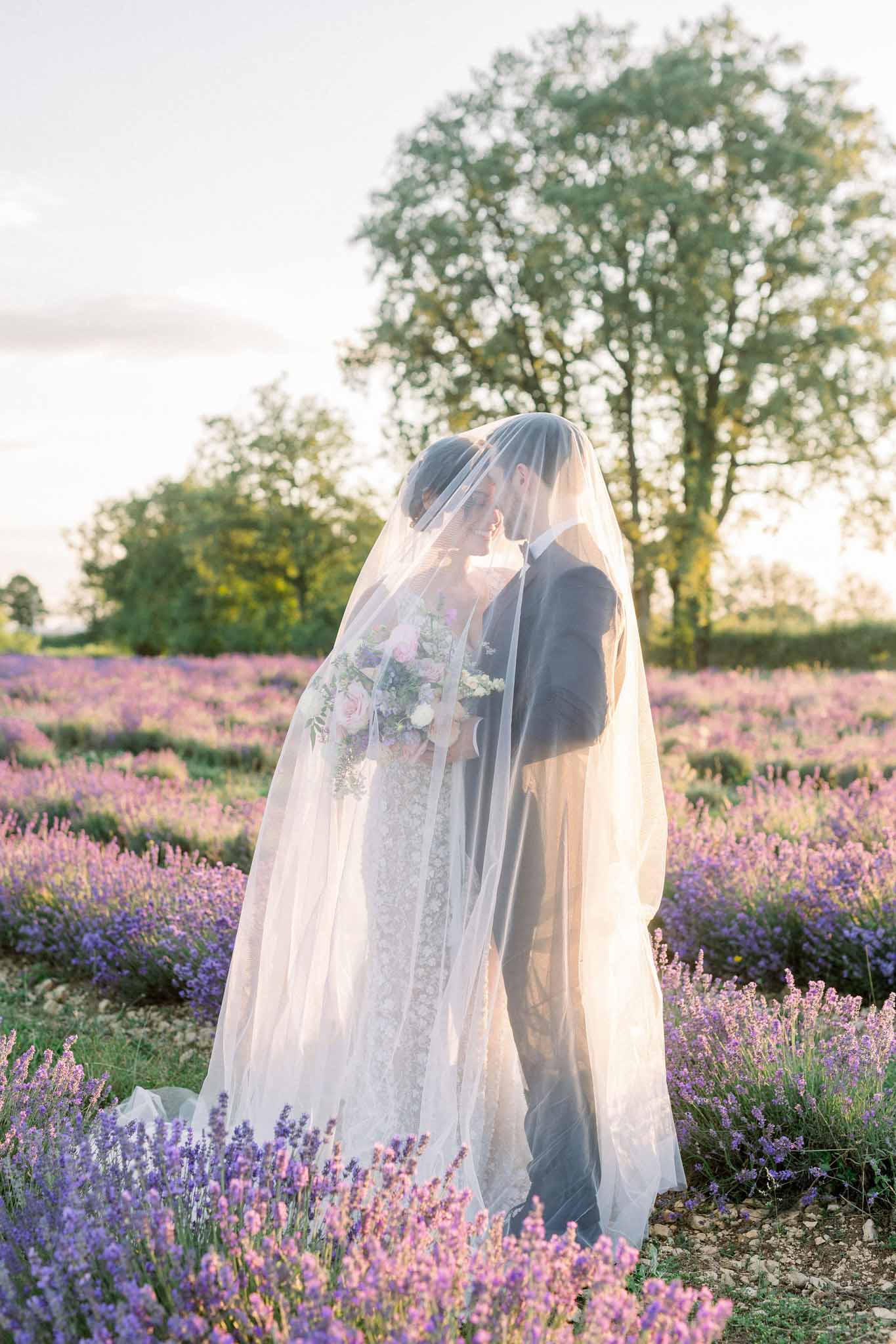 Bride and groom standing in lavender field at golden hour, draped in cathedral veil with rolling landscape behind