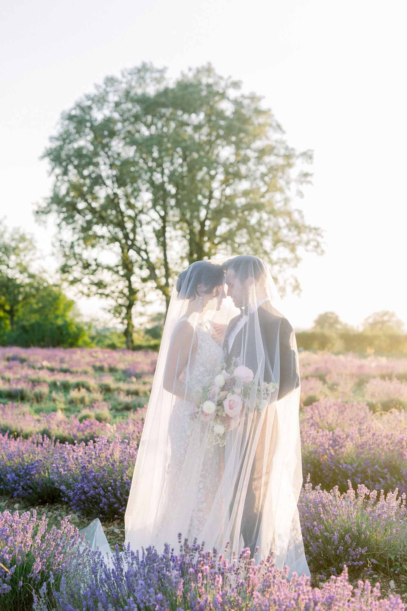 Bride and groom standing together beneath a flowing veil in a blooming lavender field at golden hour