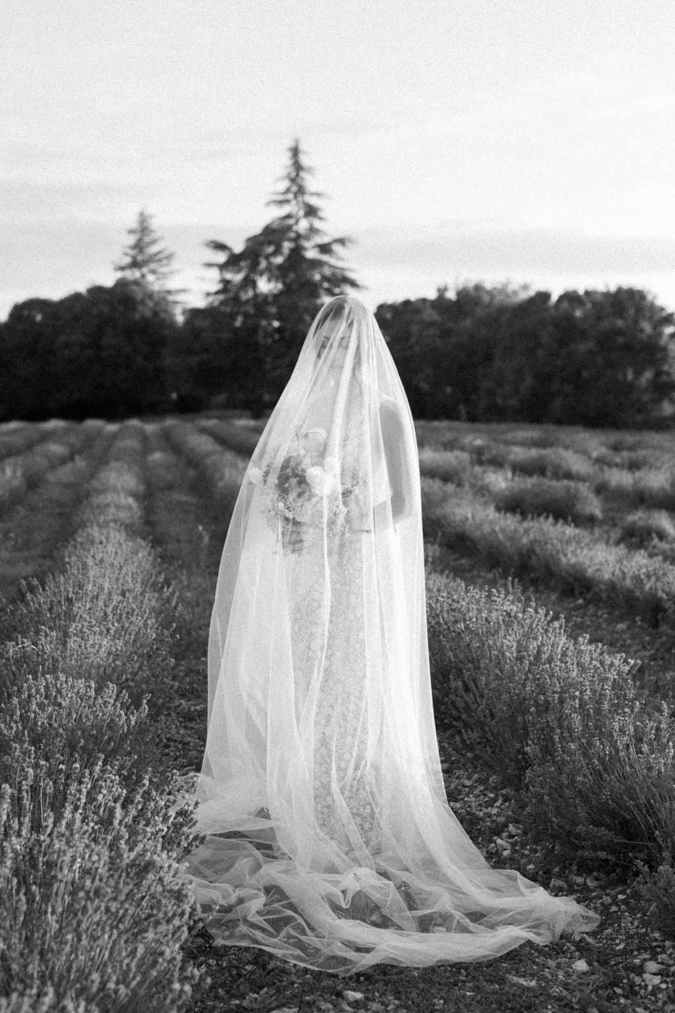 Black and white portrait of bride from behind wearing sheer floor-length veil in open lavender field
