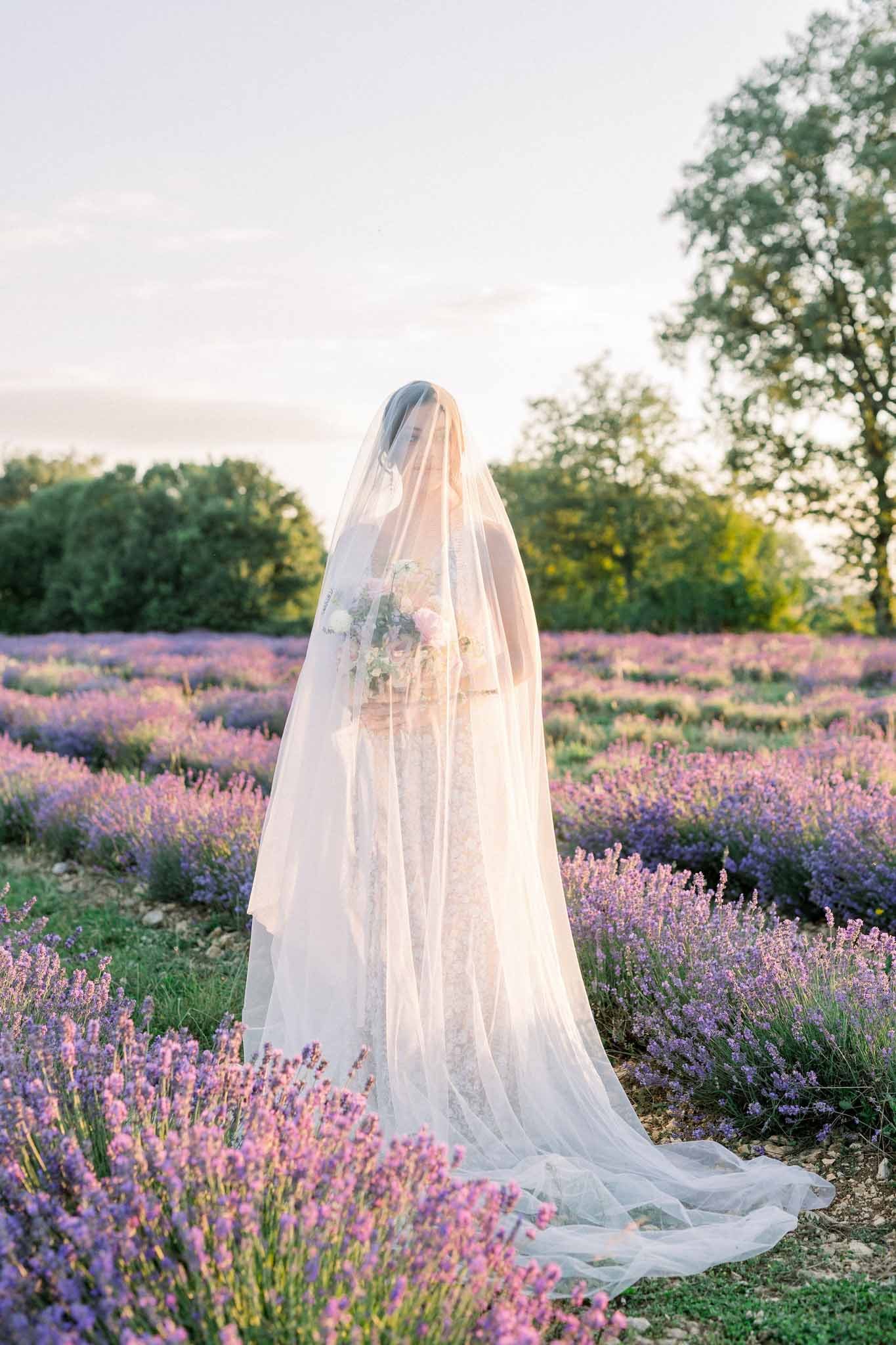 Bride in ivory lace gown and long tulle veil standing alone in lavender field at golden hour holding blush bouquet