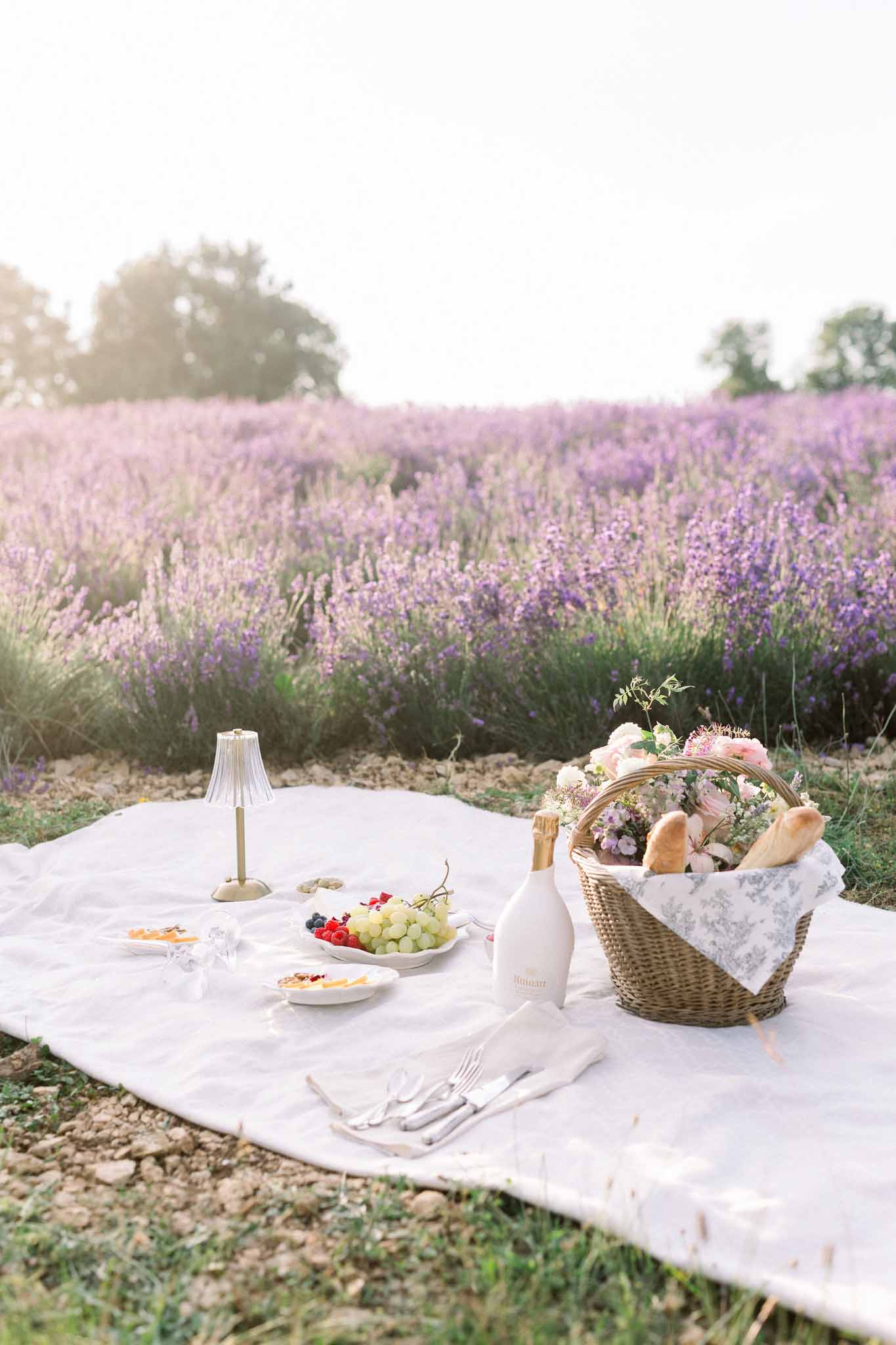 White picnic mat with basket and lamp laid out in lavender field in Provence