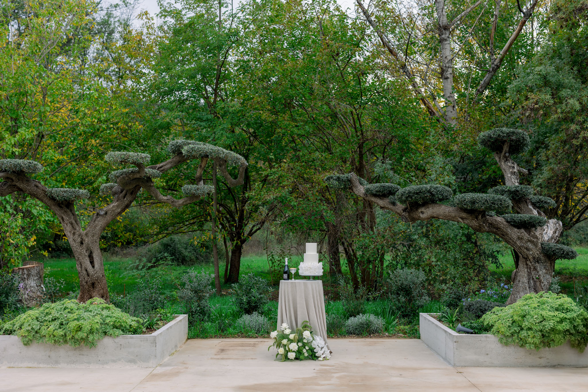 White tiered wedding cake on a draped table framed by sculptured olive trees in a Mediterranean garden