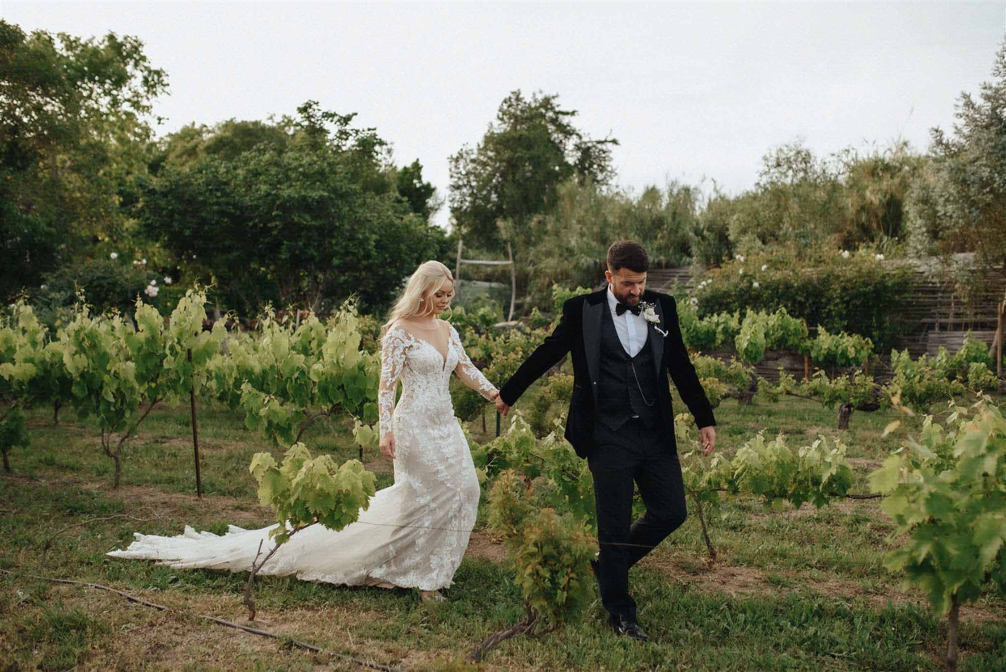 Bride and groom walking hand in hand through vineyard rows with grapevines and mature trees