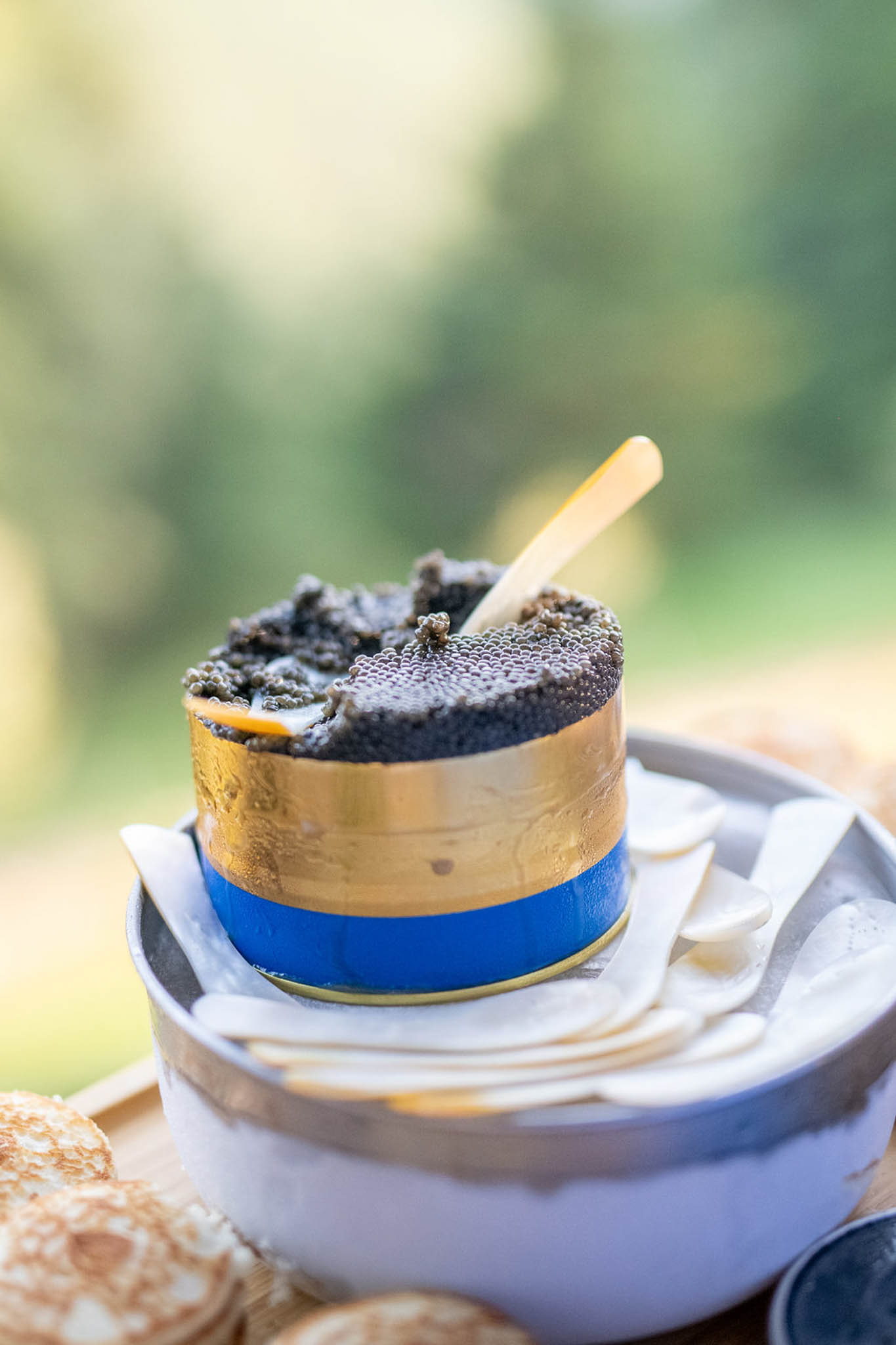 J'ai Deux Amours portfolio 58