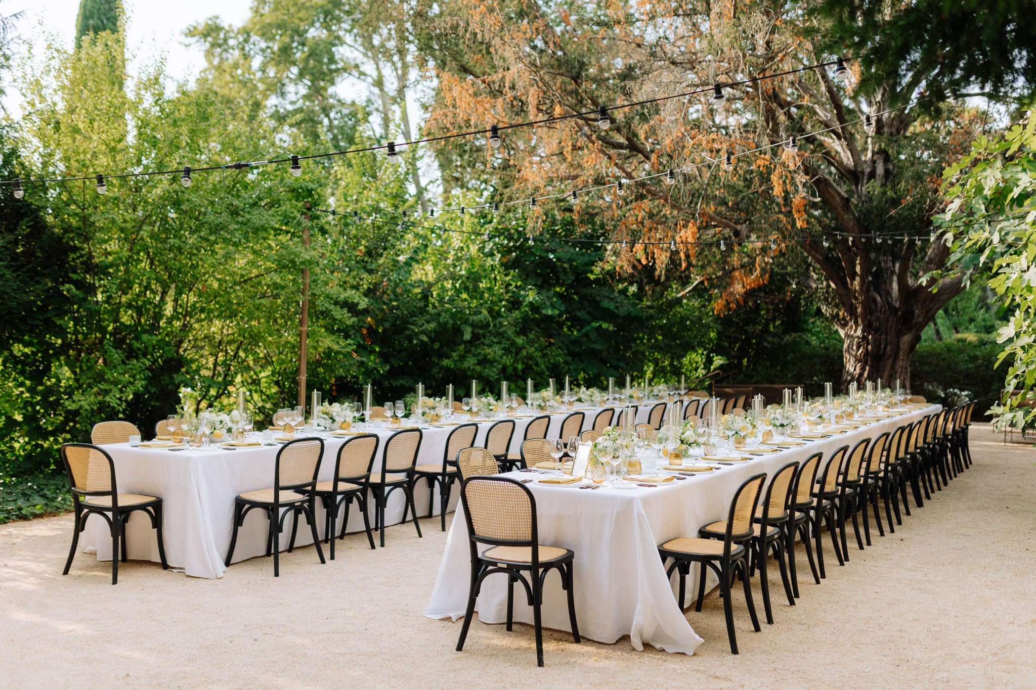 J'ai Deux Amours portfolio 37