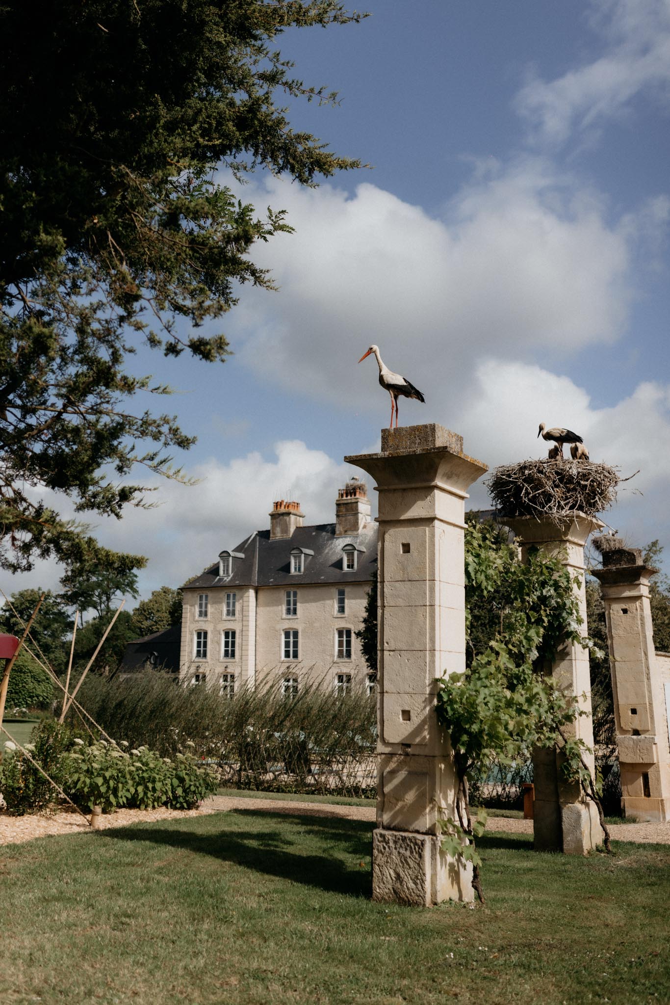 Noce Machine portfolio 33