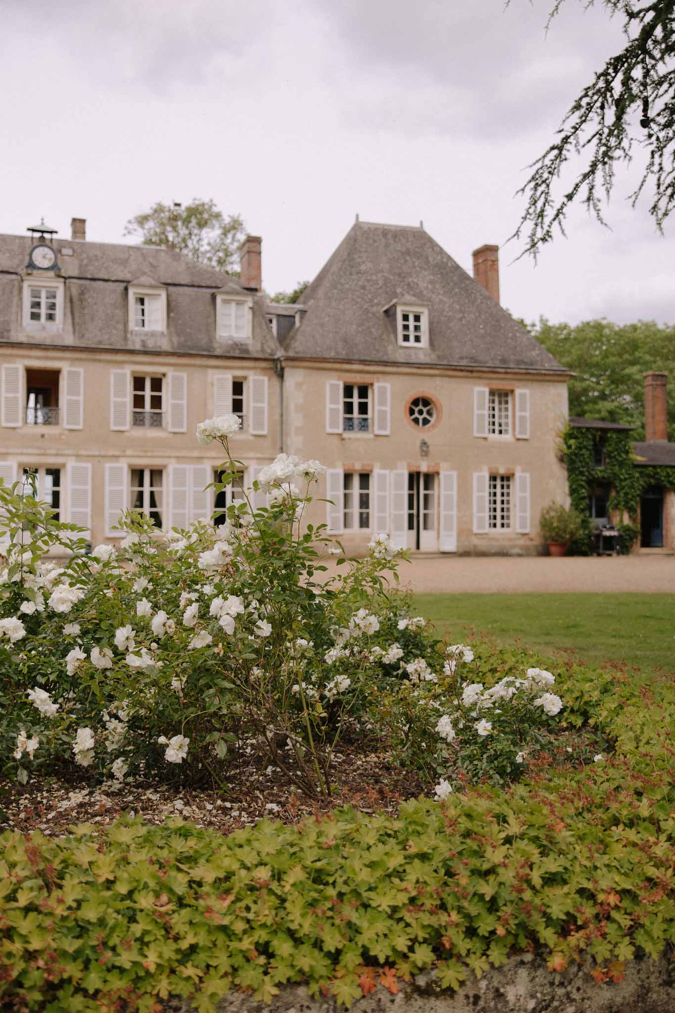 French chateau with pale stone facade, mansard slate roof, and white shuttered windows framed by flowering shrubs