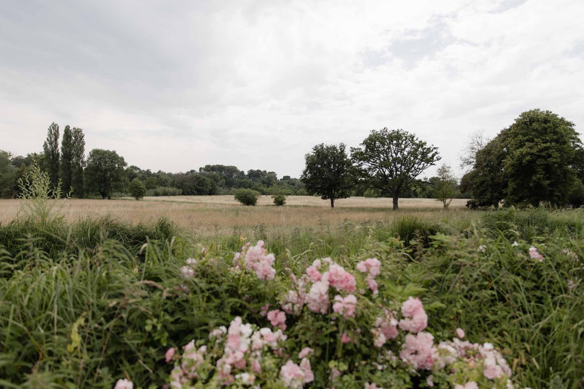 Open meadow at country estate venue with pink rose border, ornamental grasses, and mature trees on horizon