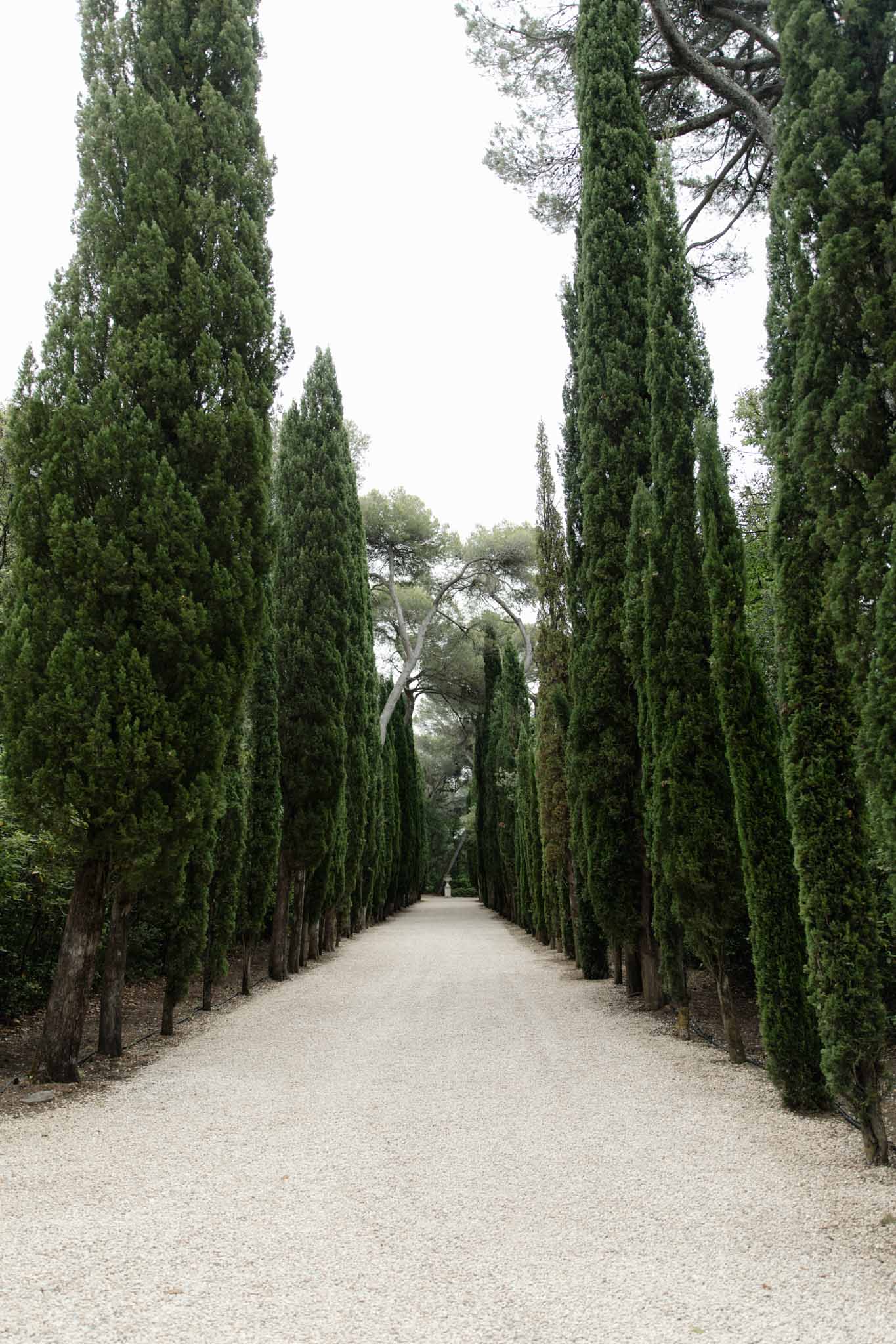 Symmetrical gravel allee lined with tall columnar cypress trees creating perspective toward distant figure