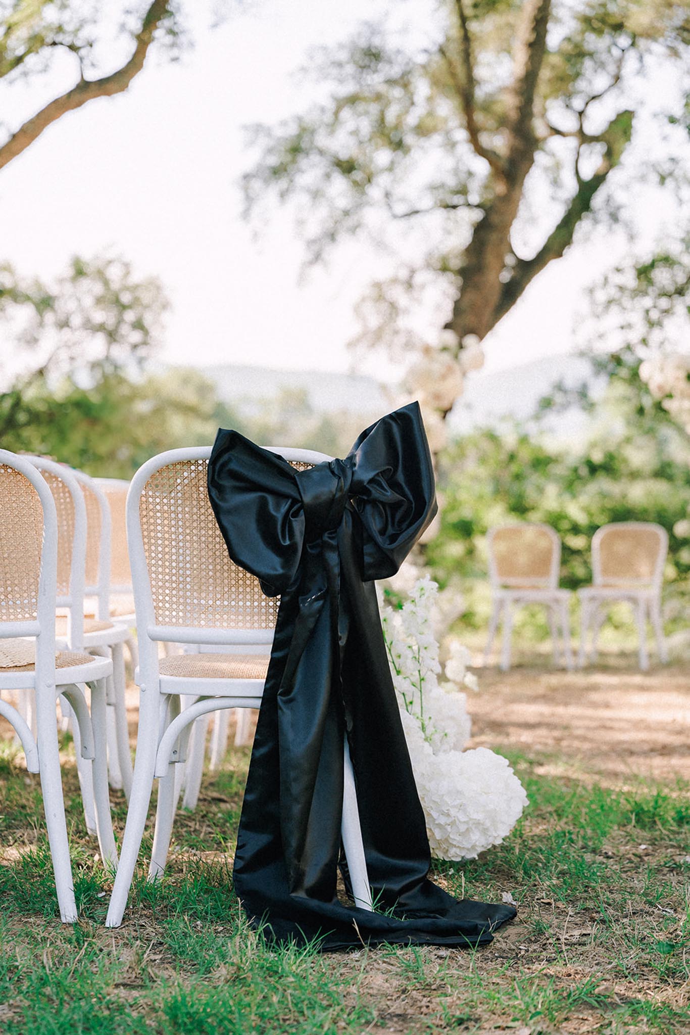 The Supershakers portfolio 19