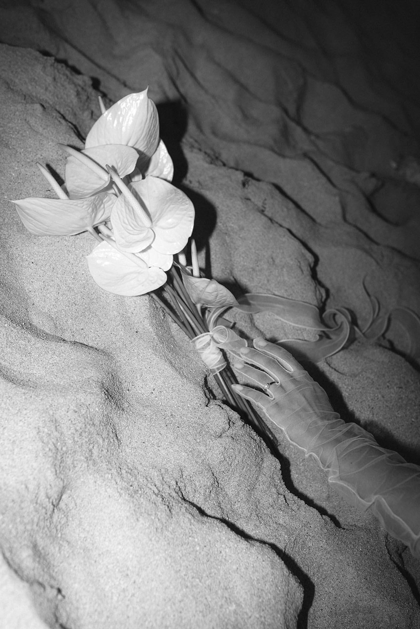 The Supershakers portfolio 49