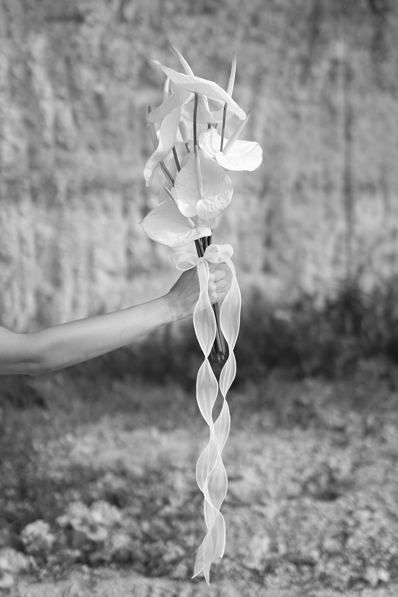 The Supershakers portfolio 45