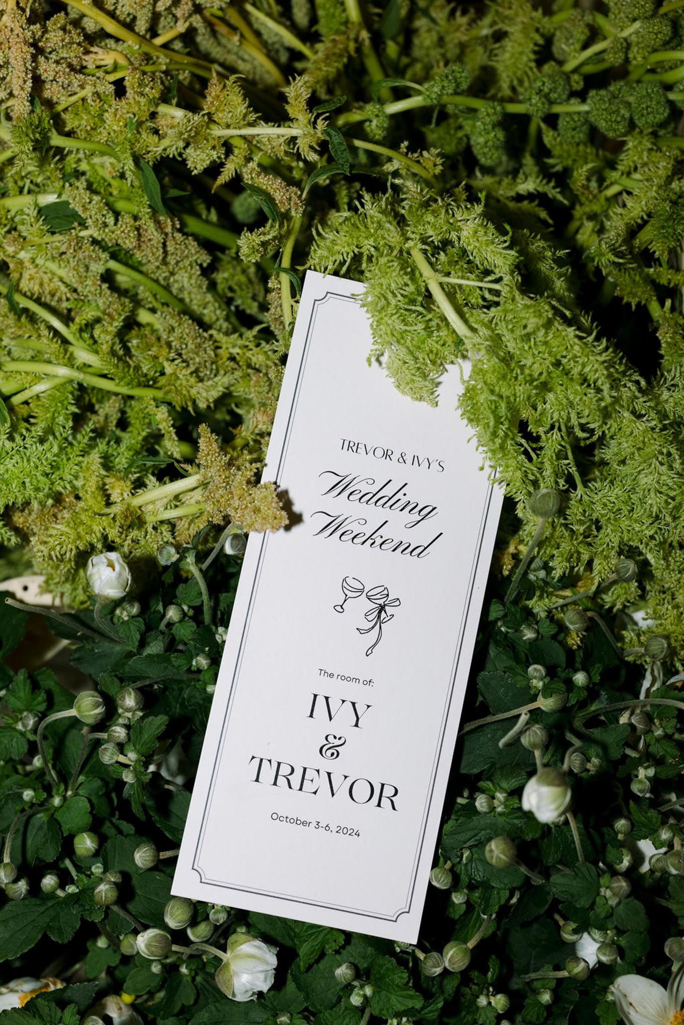 The Supershakers portfolio 7