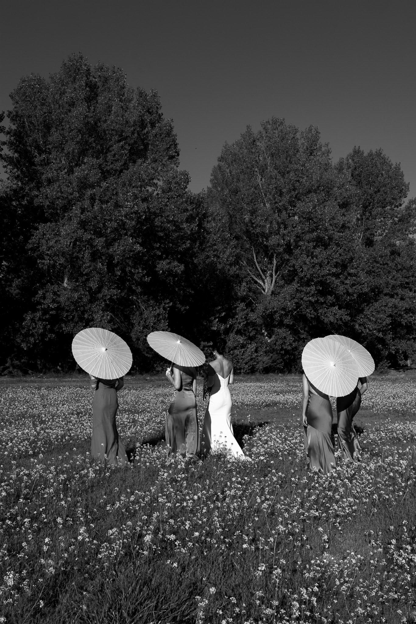 The Supershakers portfolio 16