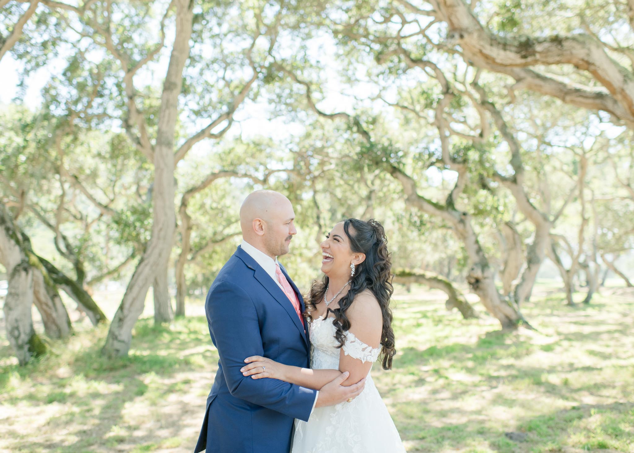 Destinations with Dana portfolio 25