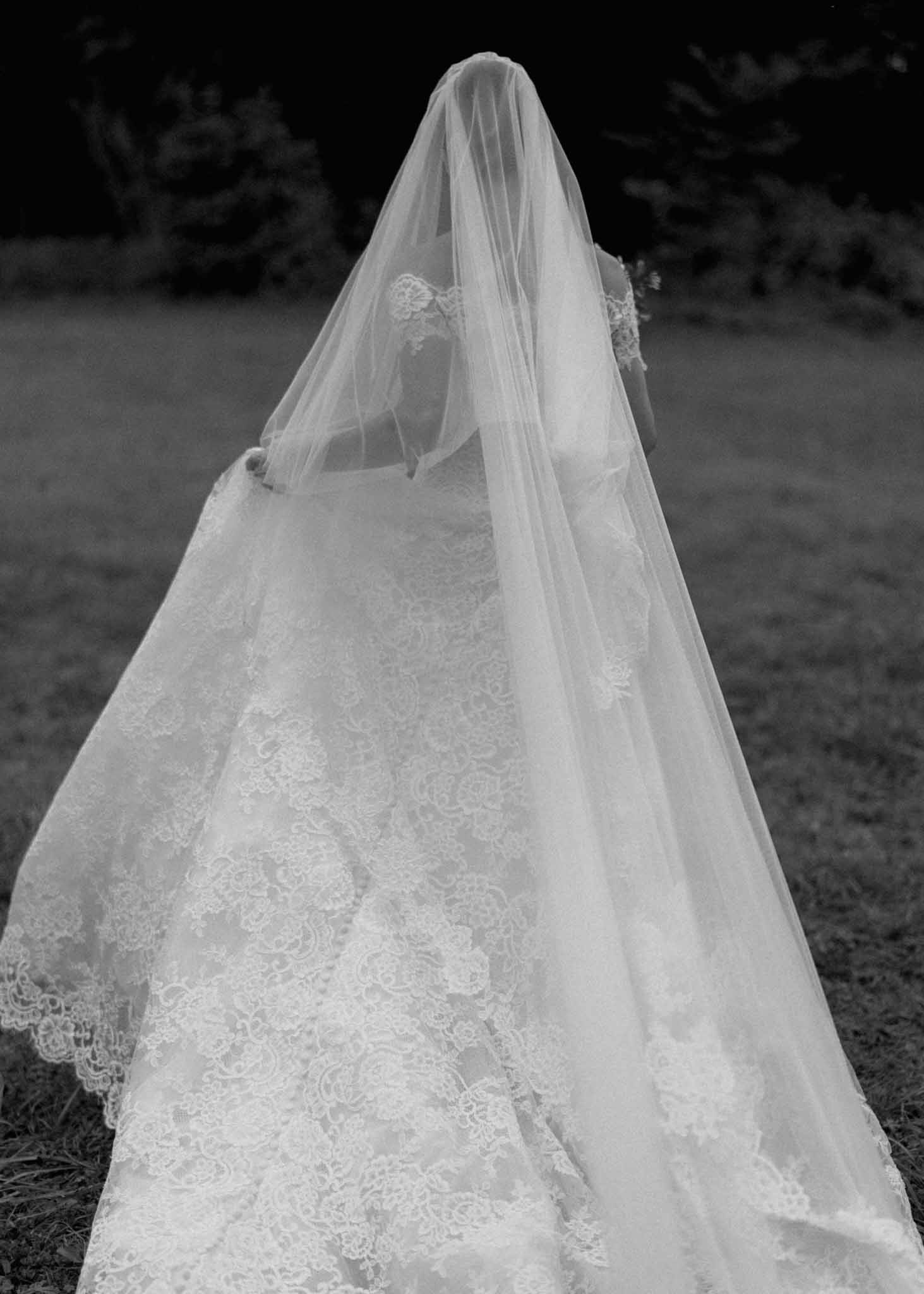 Black-and-white rear view of bride in fitted lace gown with cathedral-length veil walking across open field
