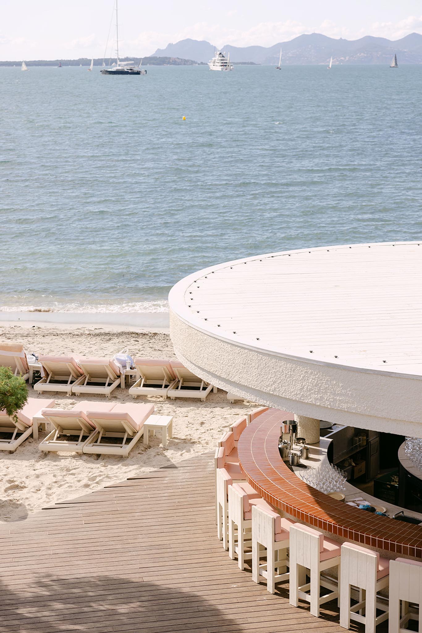 The Supershakers portfolio 50