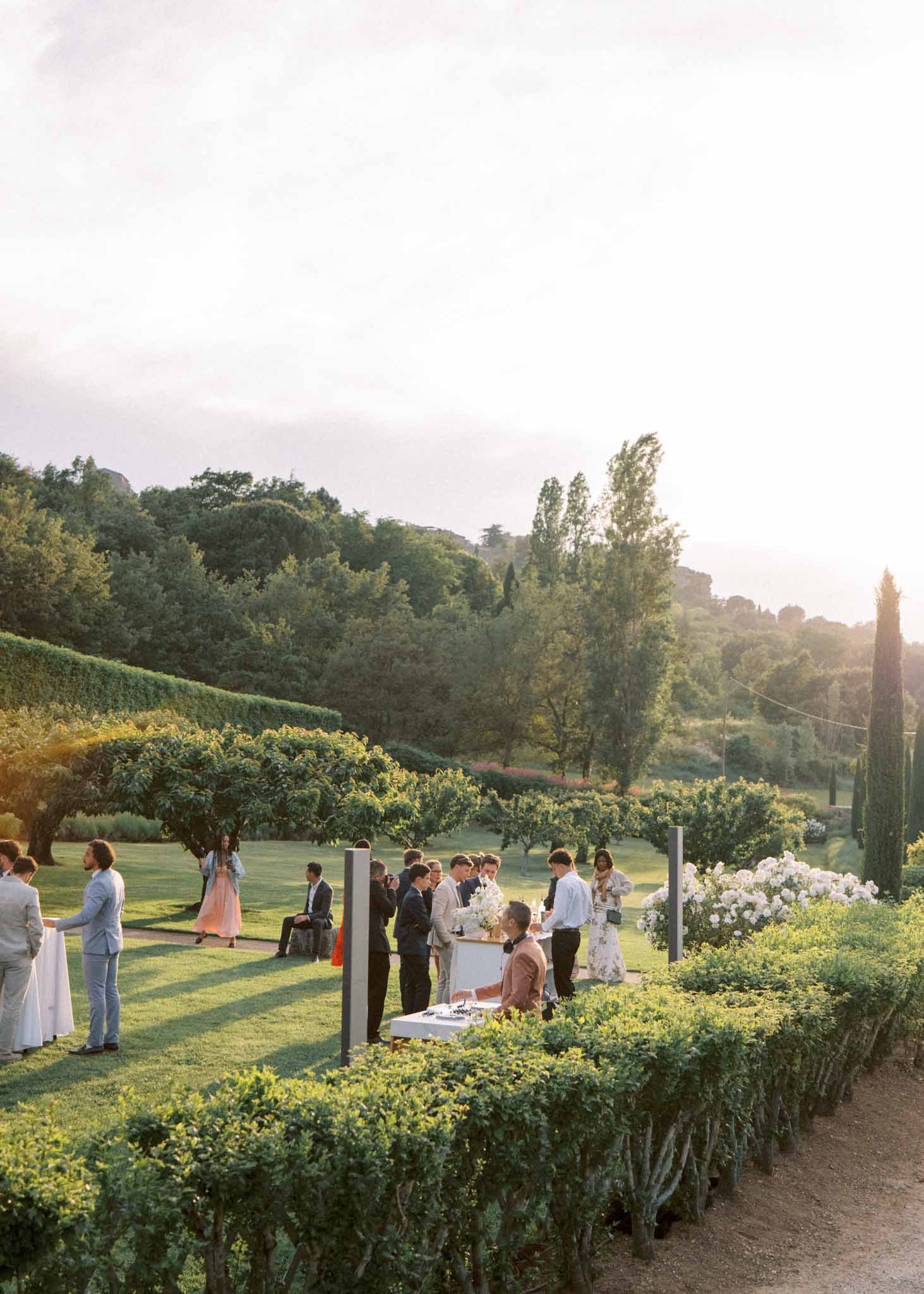 Twenty guests mingling on tiered formal garden lawn with white bar and white rose hedge at golden hour