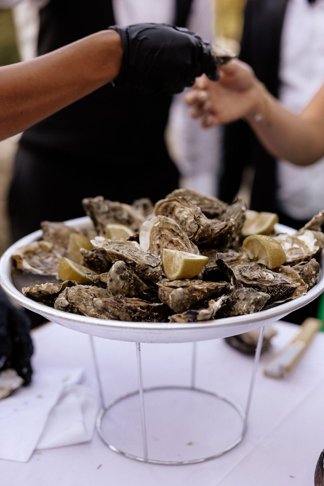 Fresh oysters on pedestal plate during cocktail hour at wedding reception