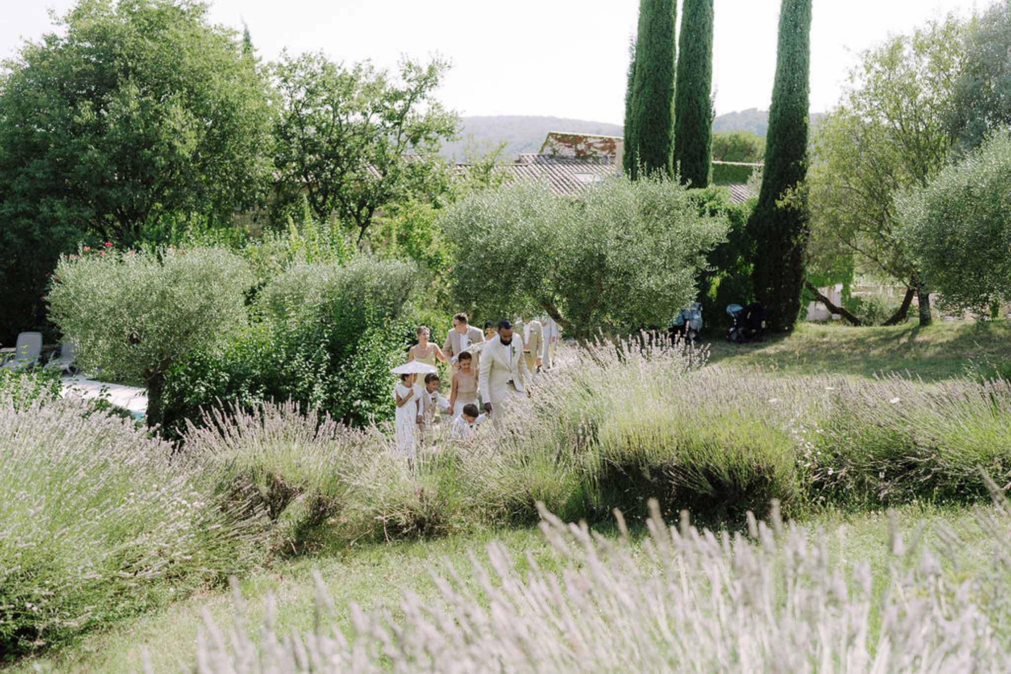 Wedding party walking through Provencal lavender garden with stone building and cypress trees in background