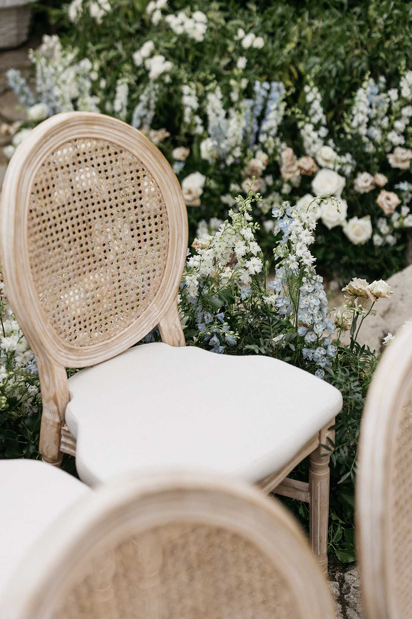 Natural wood and rattan ceremony chairs with ivory cushions among white roses and blue delphiniums in garden setting