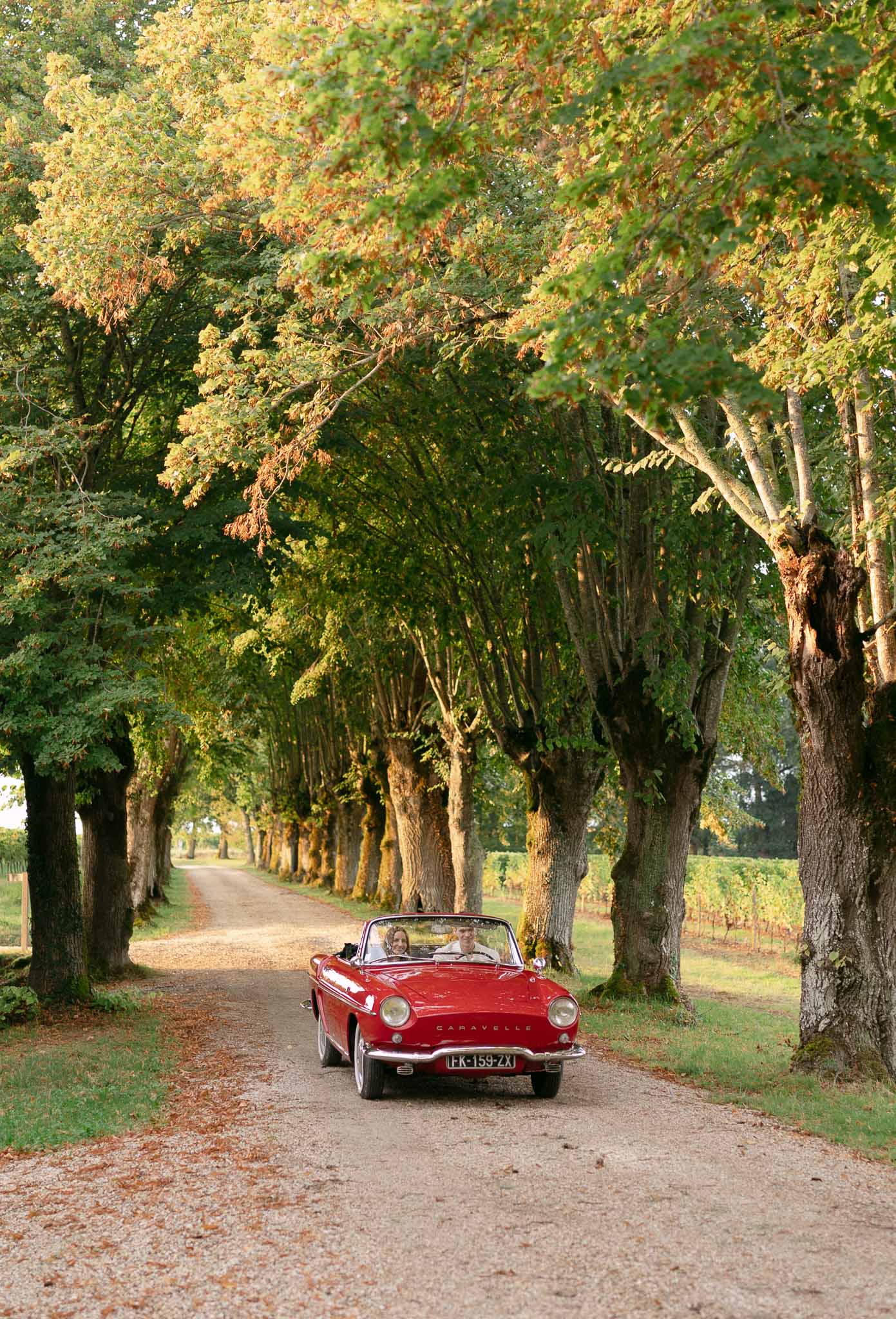 Bride and groom portrait at a vineyard