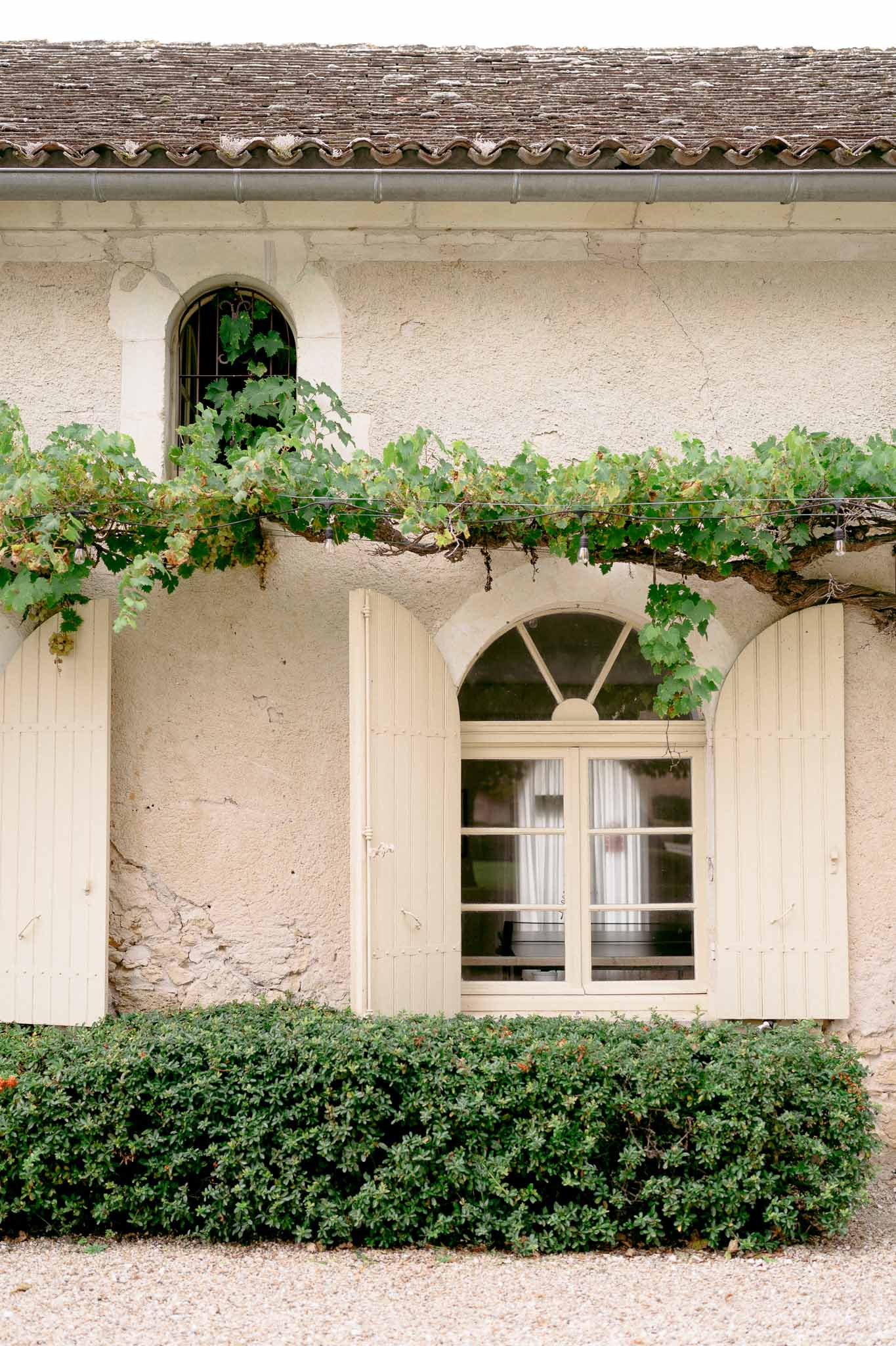 Cream-rendered facade with arched window, trained grapevine, and festoon lights on wire