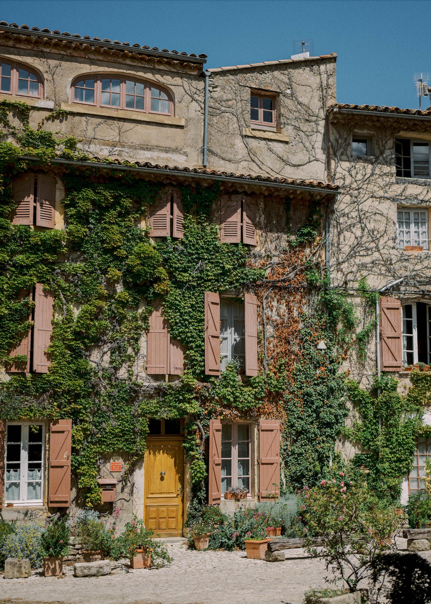 Provencal stone building with mustard door, rose-brown shutters, ivy facade, and cobblestone forecourt