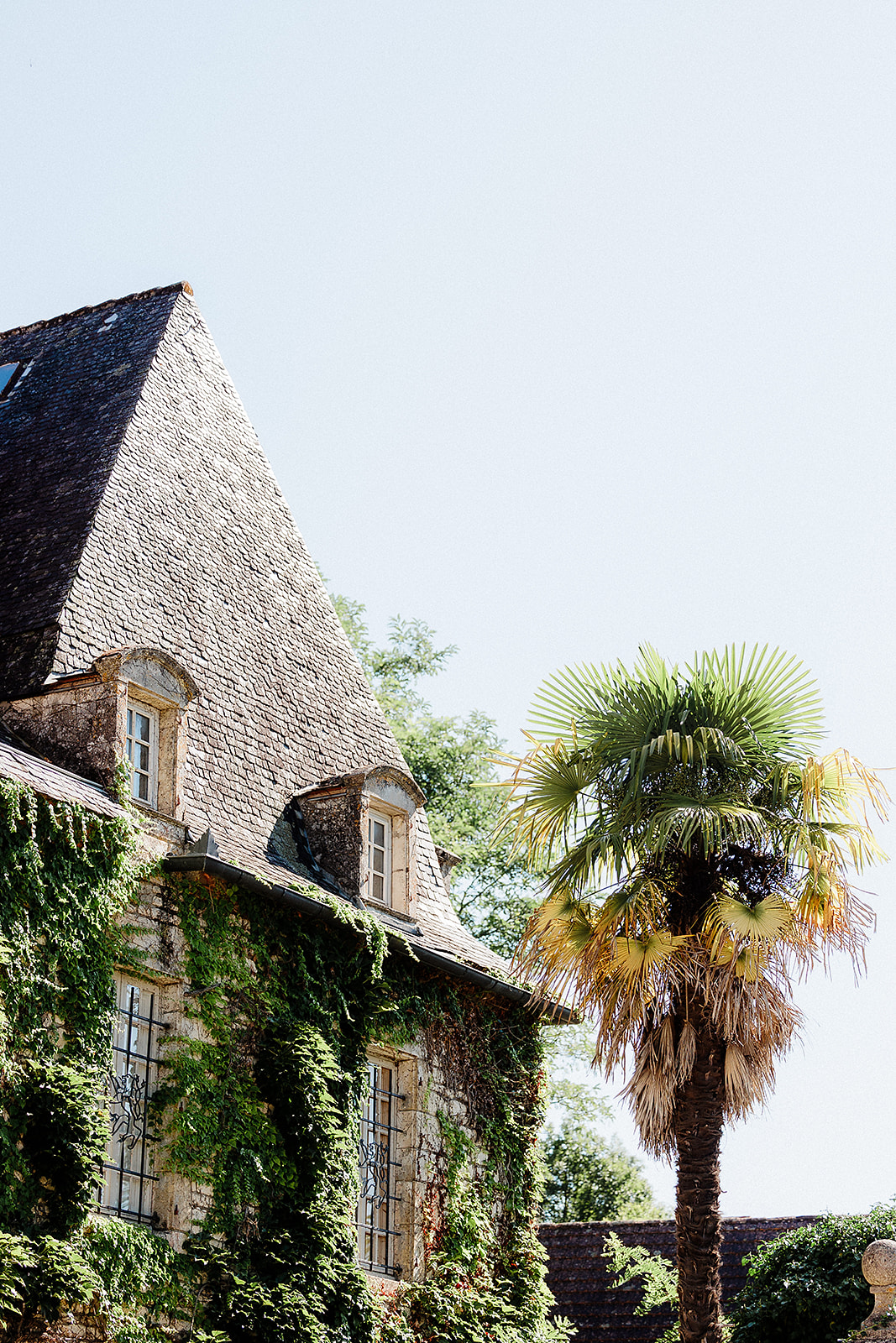 Historic stone building with ivy-covered walls and slate roof at wedding venue with palm tree