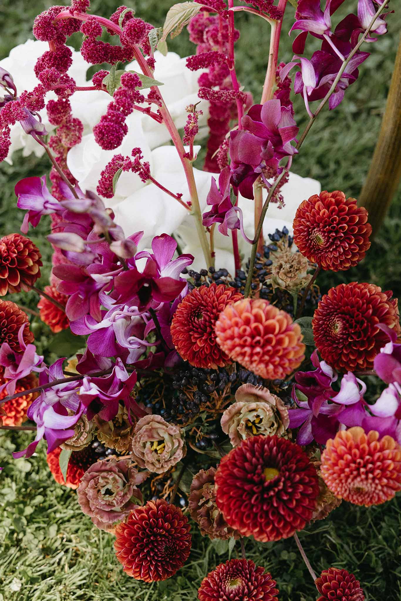 Jewel-toned arrangement of burnt orange dahlias, magenta orchids, fuchsia amaranthus, and navy berries