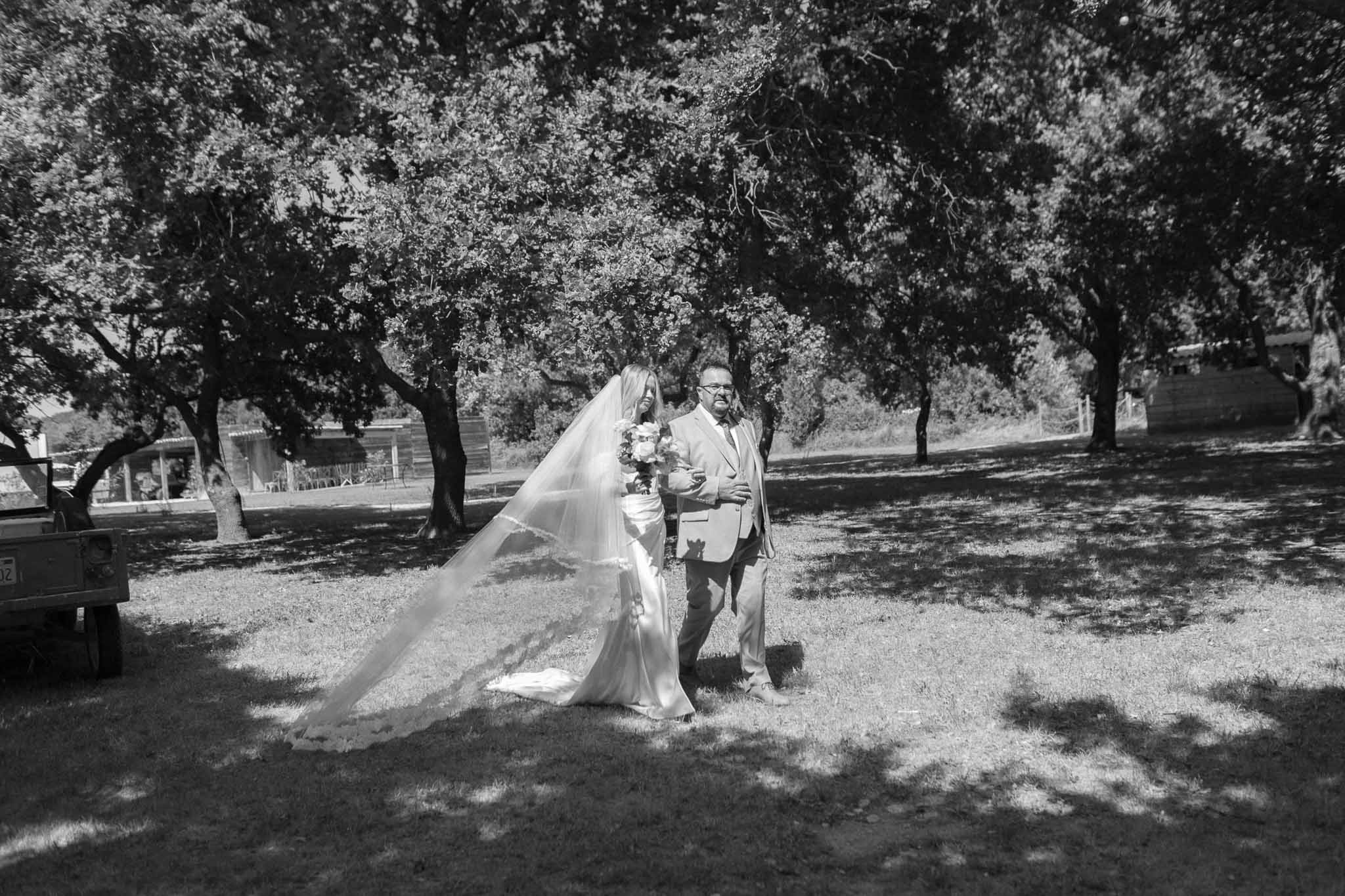 Bride and groom walking together through tree-lined garden during wedding day portrait session