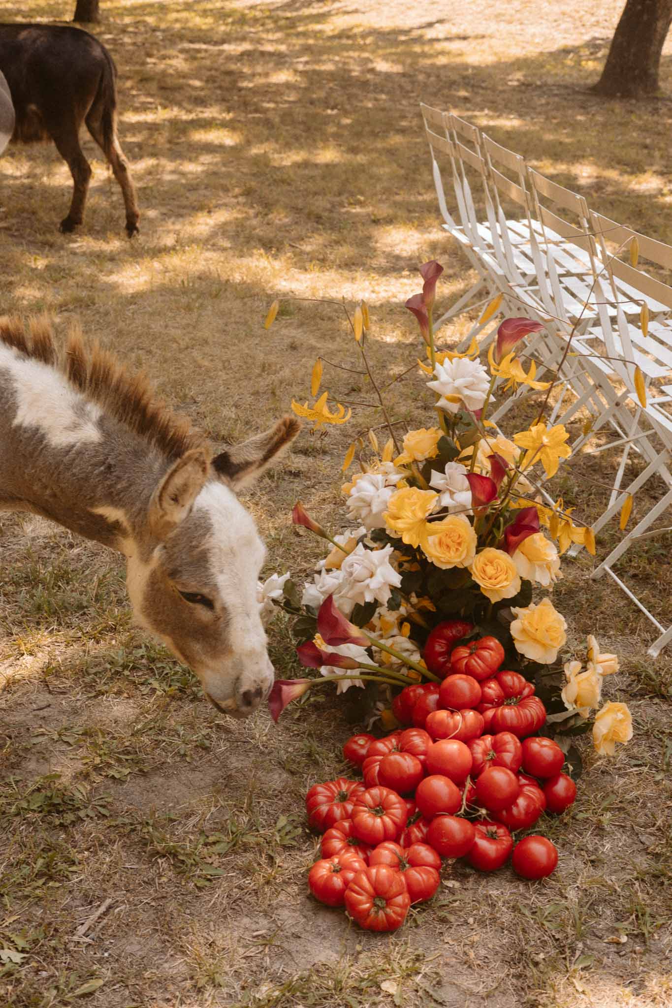 Farm-to-table floral arrangement with tomatoes and roses at outdoor woodland wedding ceremony