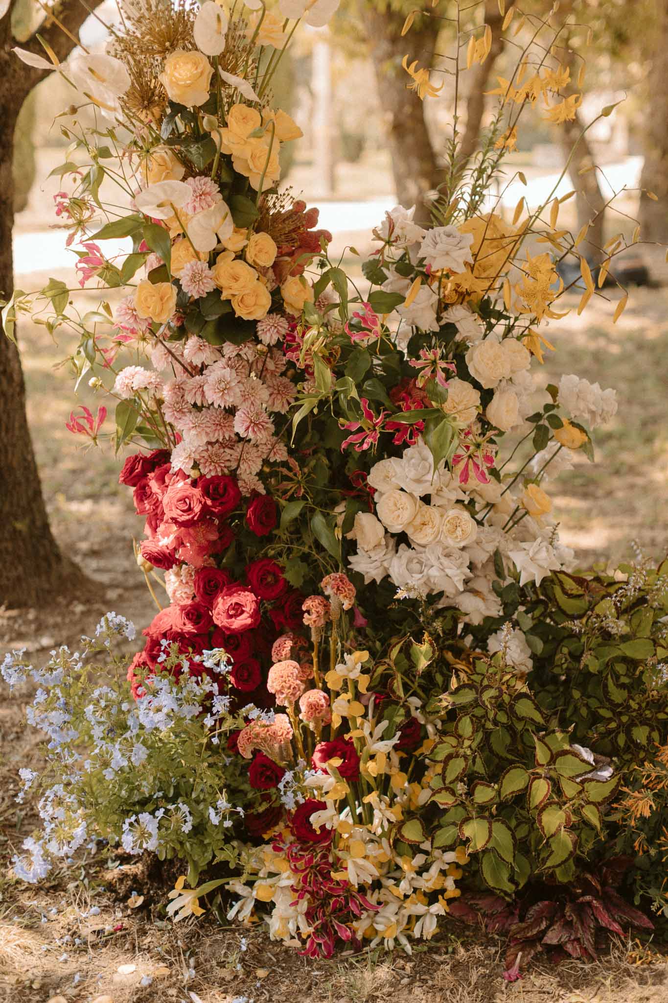 Large floral installation with roses and dahlias at outdoor garden venue ceremony backdrop