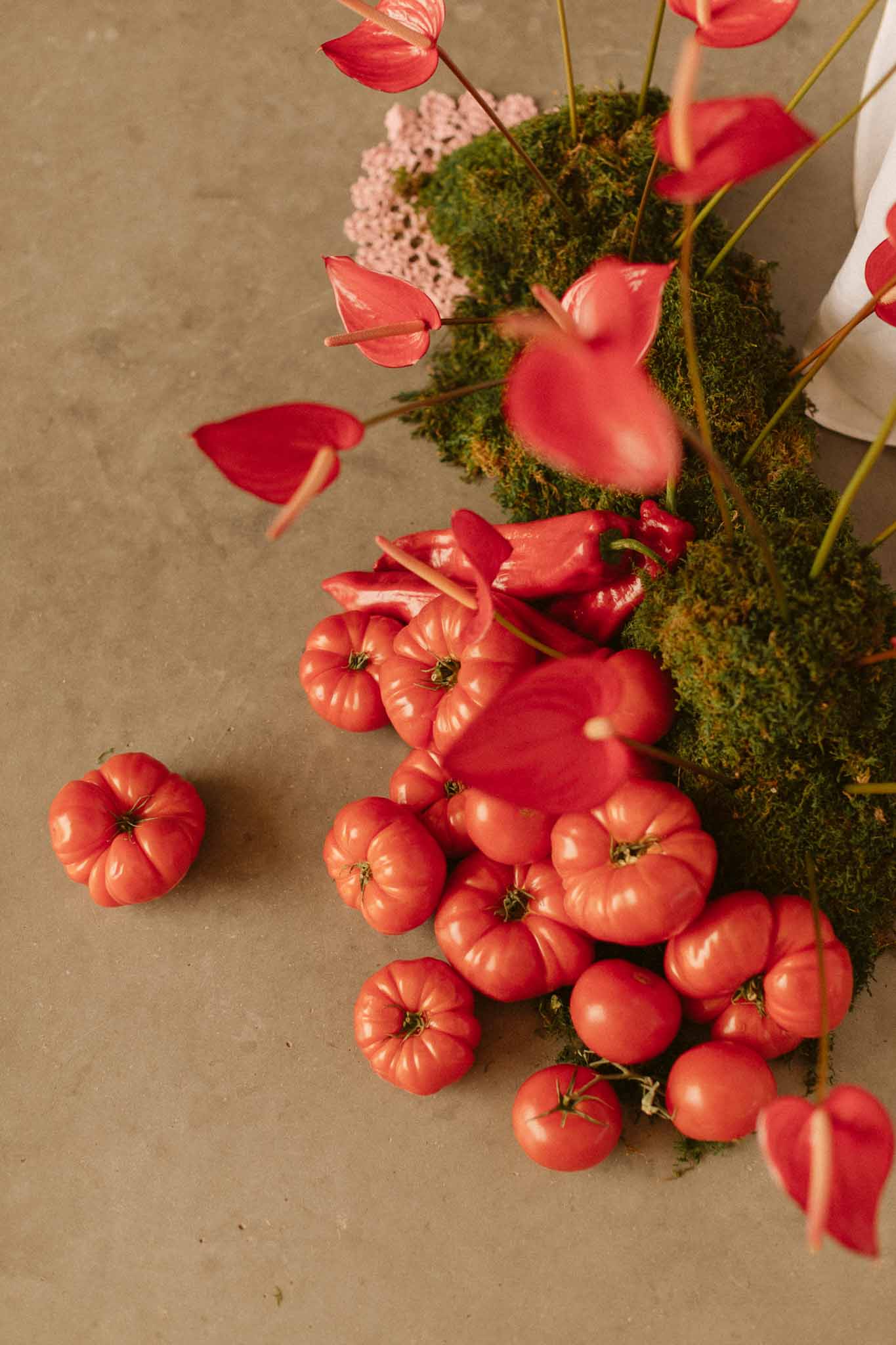 Wedding flat lay with red anthurium flowers and tomatoes on concrete surface