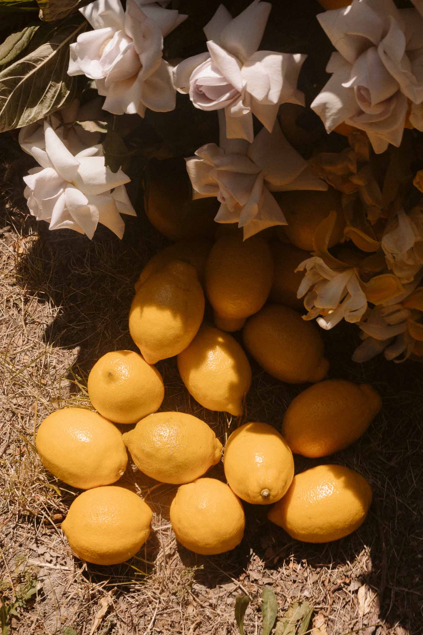 Close-up of fresh lemons and white roses arranged on sandy ground for Mediterranean wedding decor