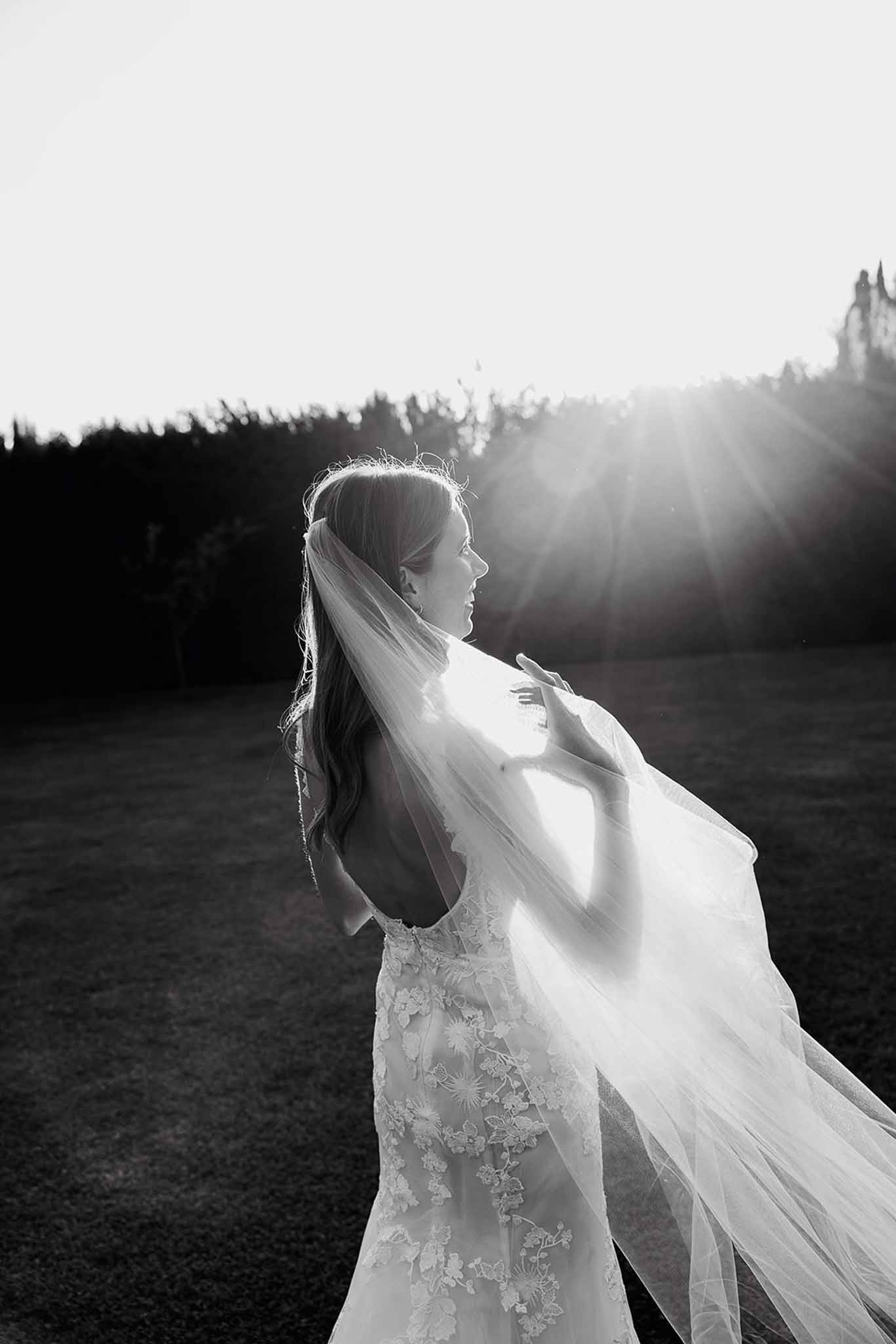 Black and white bridal portrait with dramatic backlighting in open field with forest background