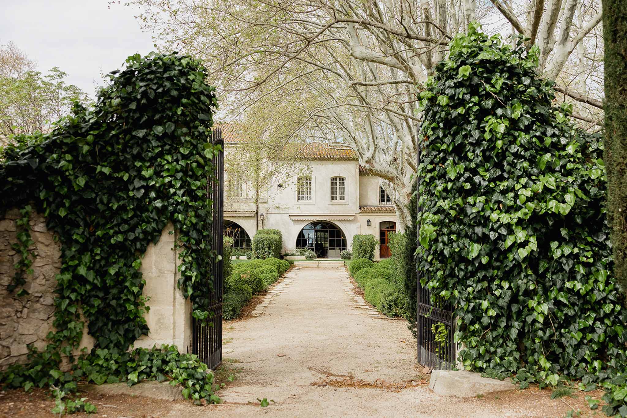 Classical European estate entrance with ivy-covered pillars and iron gates leading to cream stone building