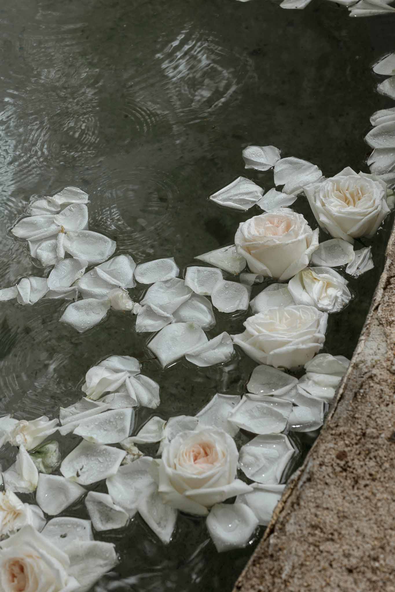 Ivory and blush roses floating in water feature at wedding venue