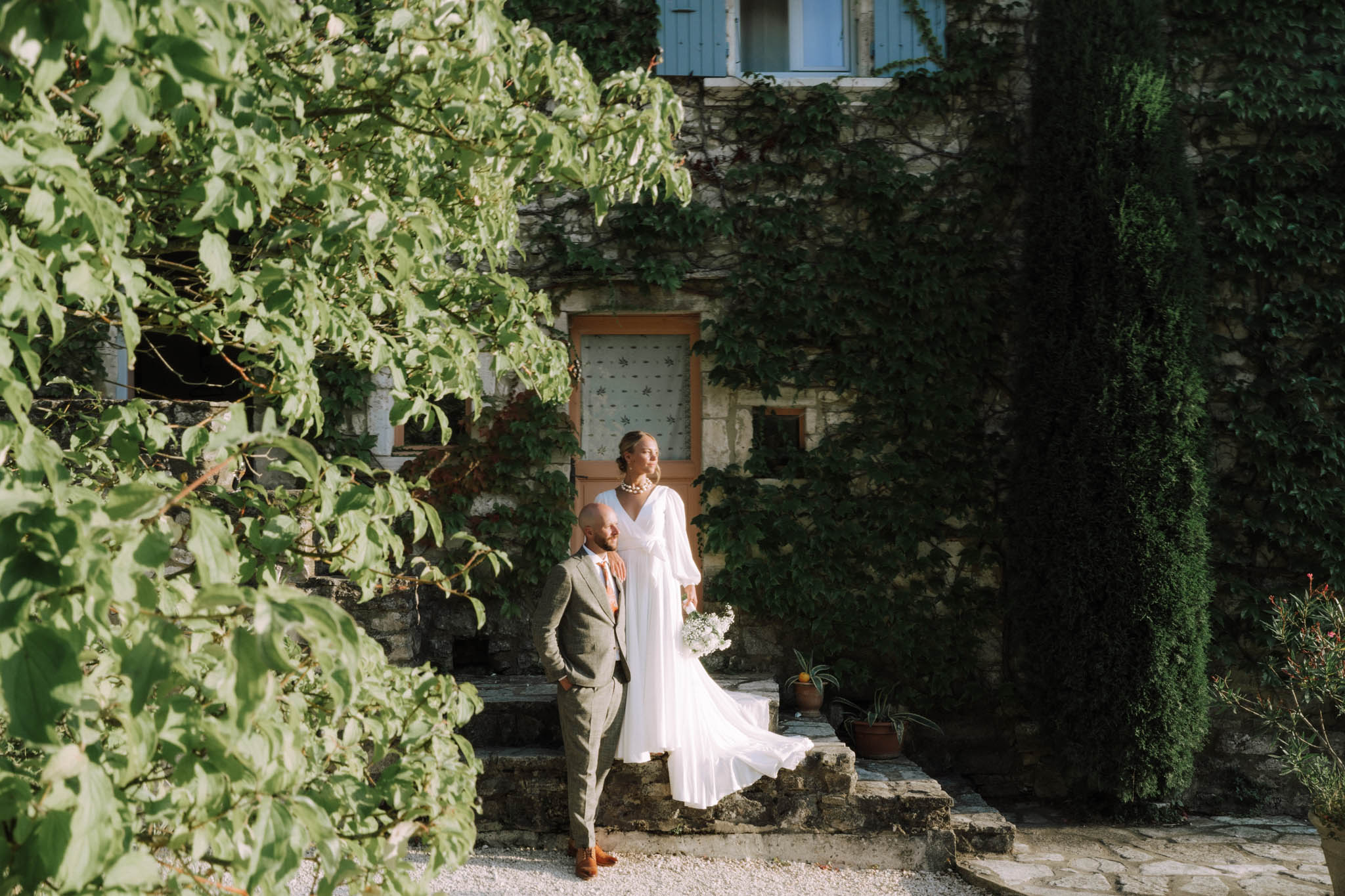 Daffodil Yellow and Olive Groves at Domaine du Clos d'Hullias, Occitanie
