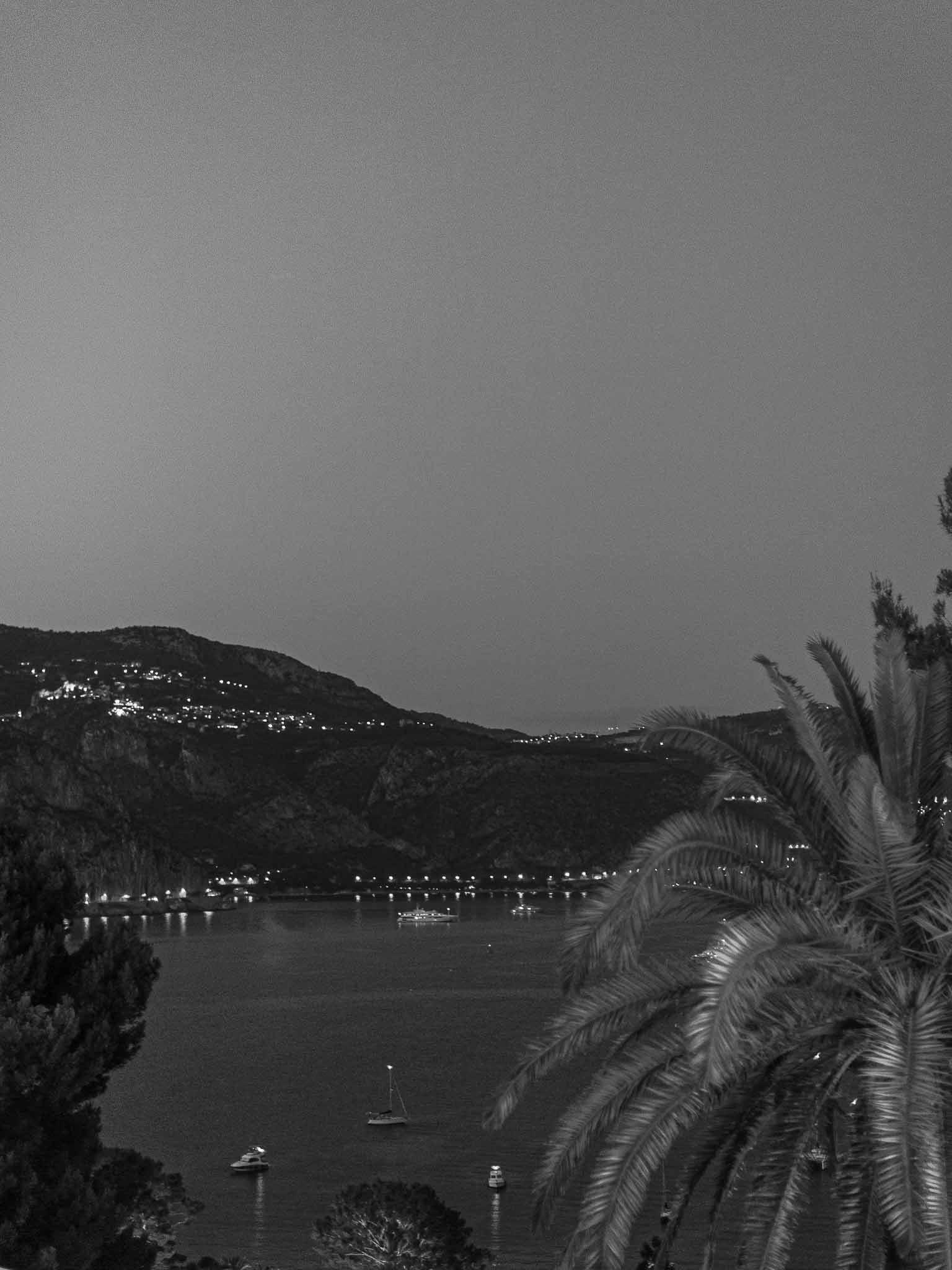 Coastal bay view with illuminated buildings and palm fronds at evening wedding venue